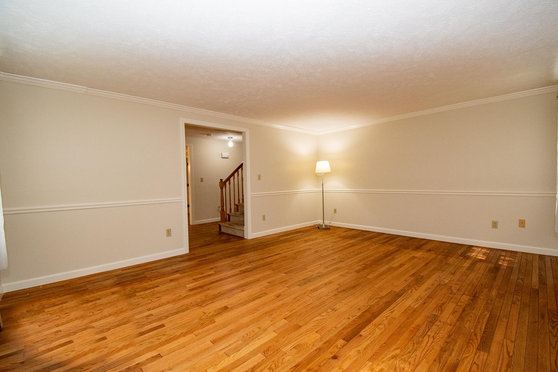Neutral Paint 23974819
