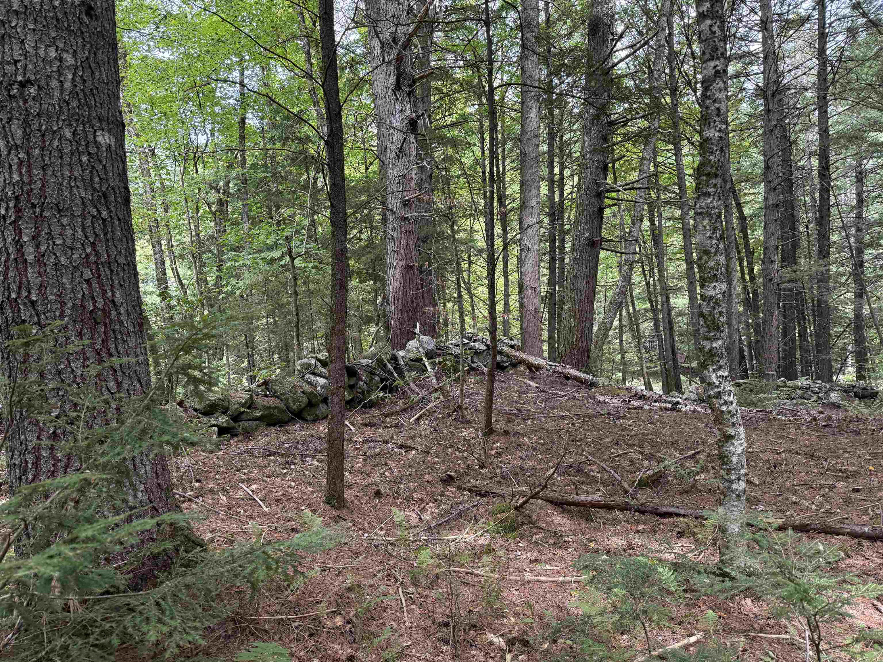 Flat area as a second potential building site