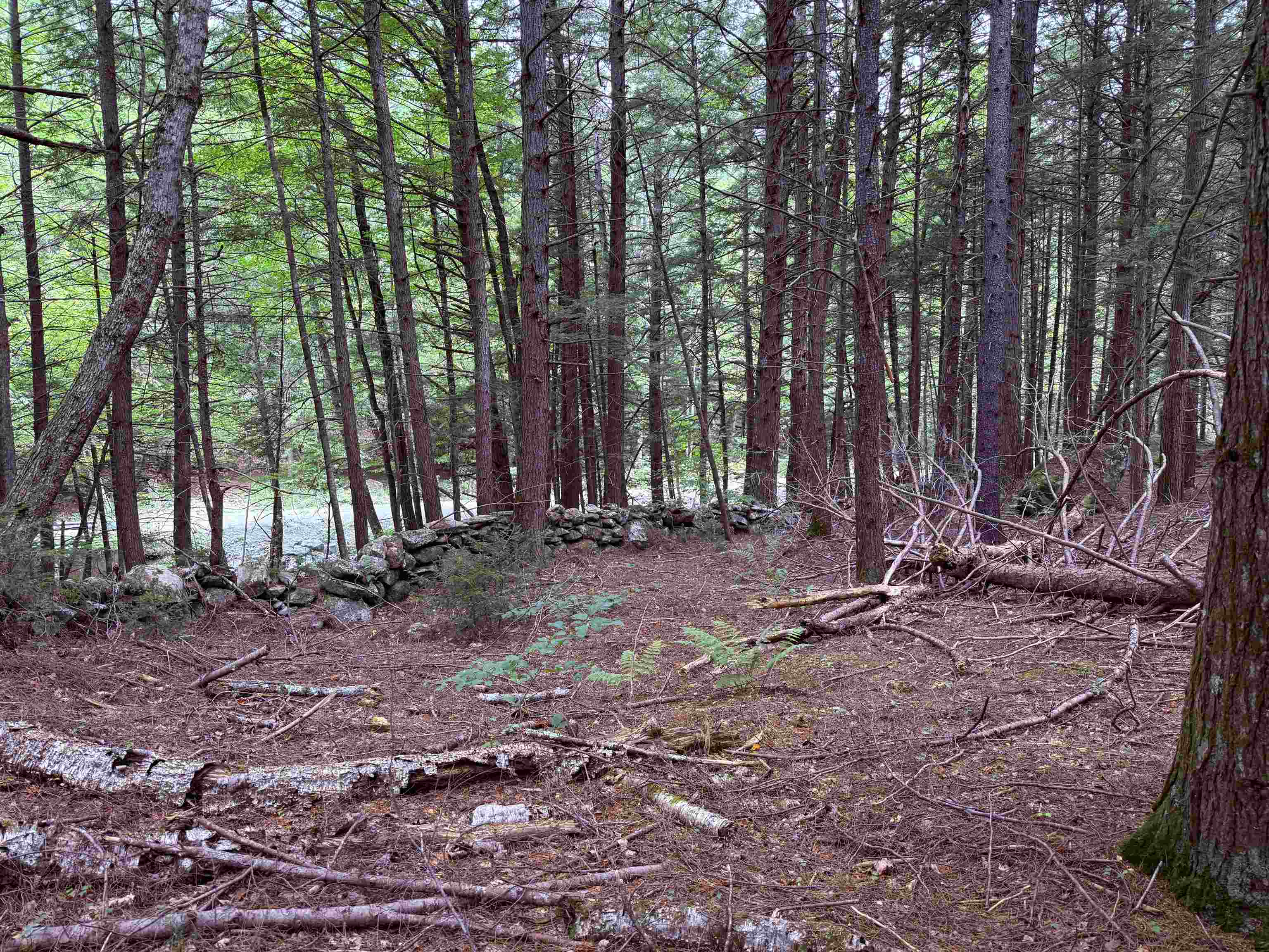 Stone wall from the 1800