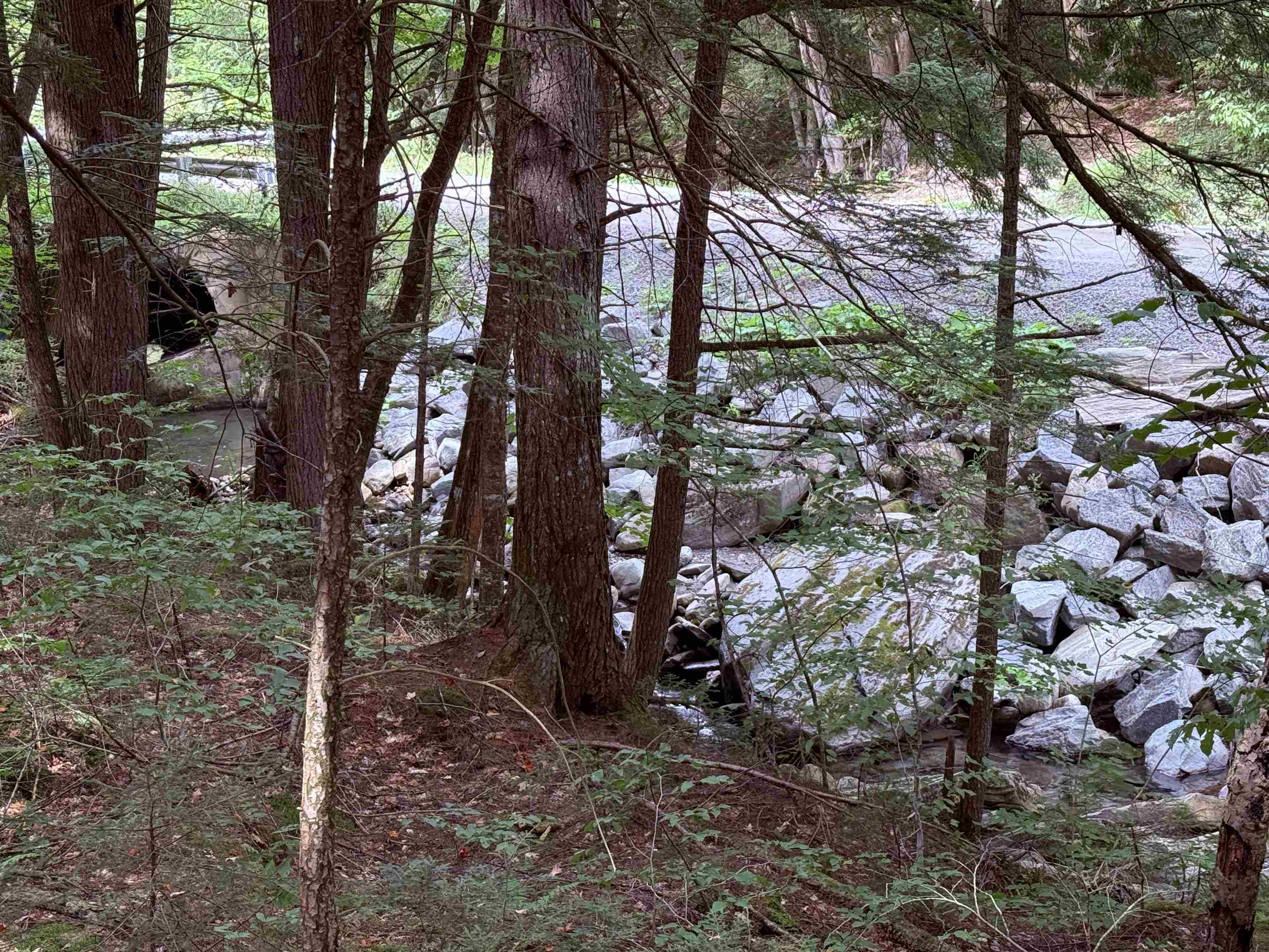 And peek at the brook