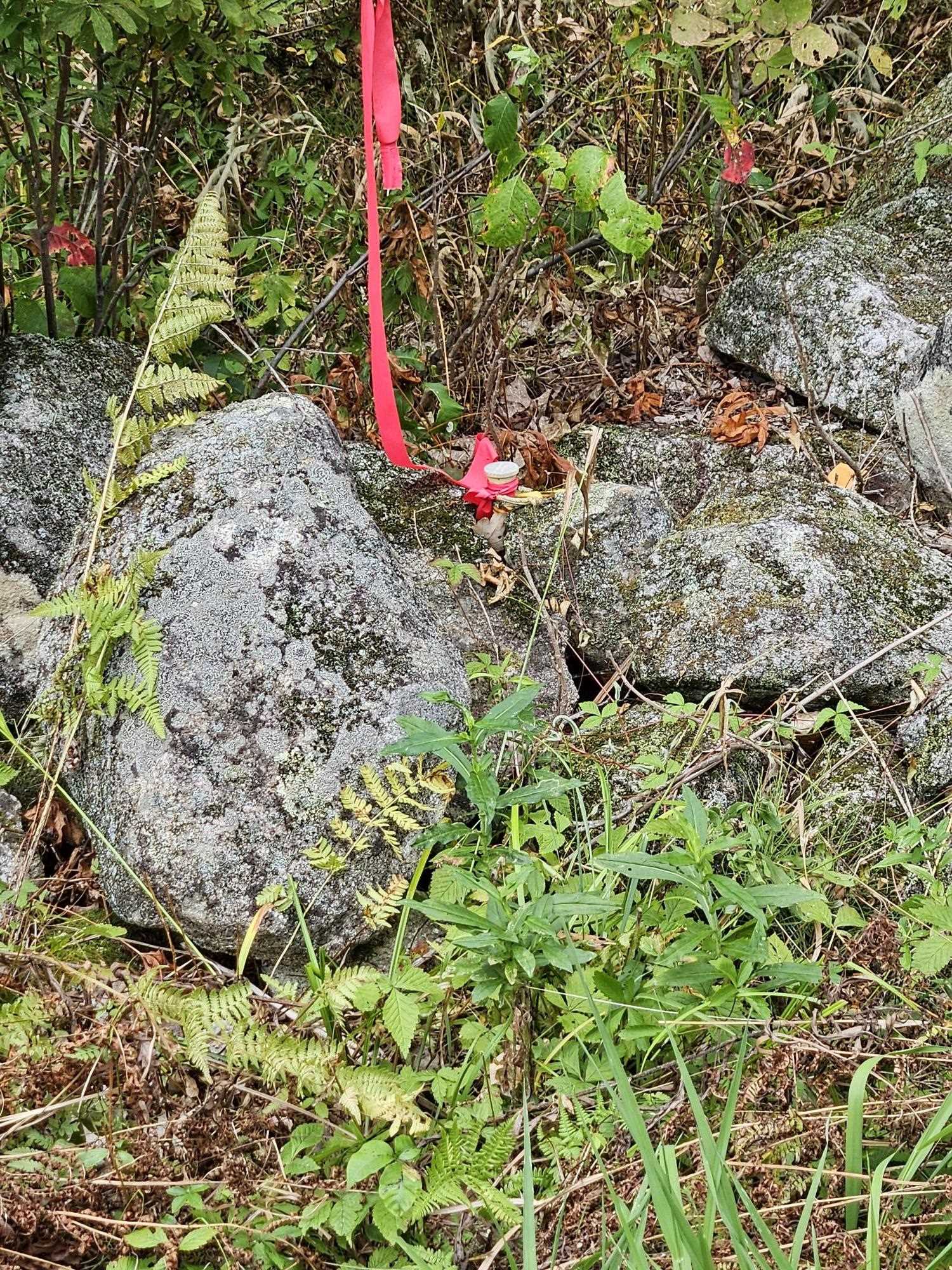 MLS #5058781 image #1