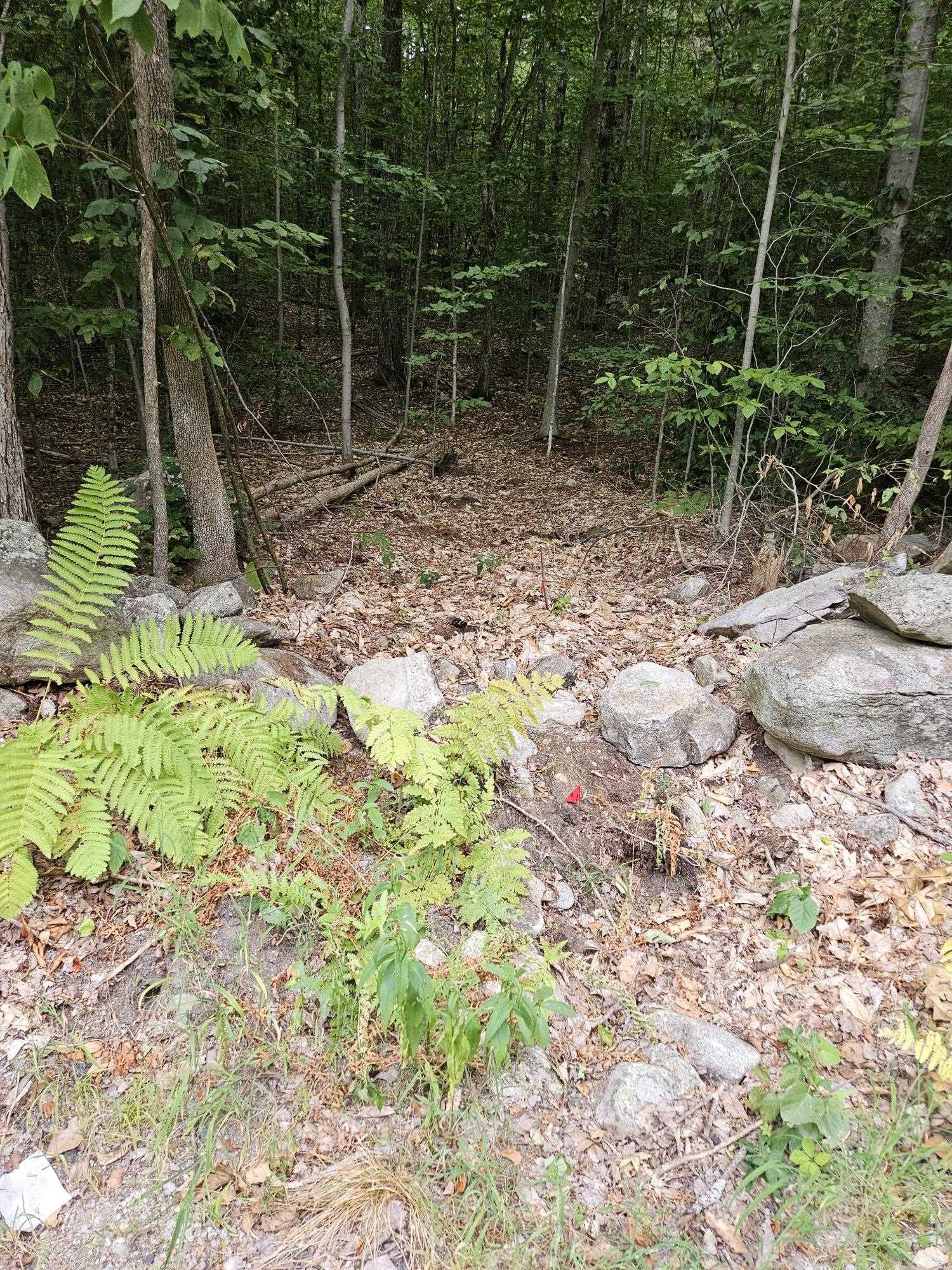 MLS #5058781 image #2