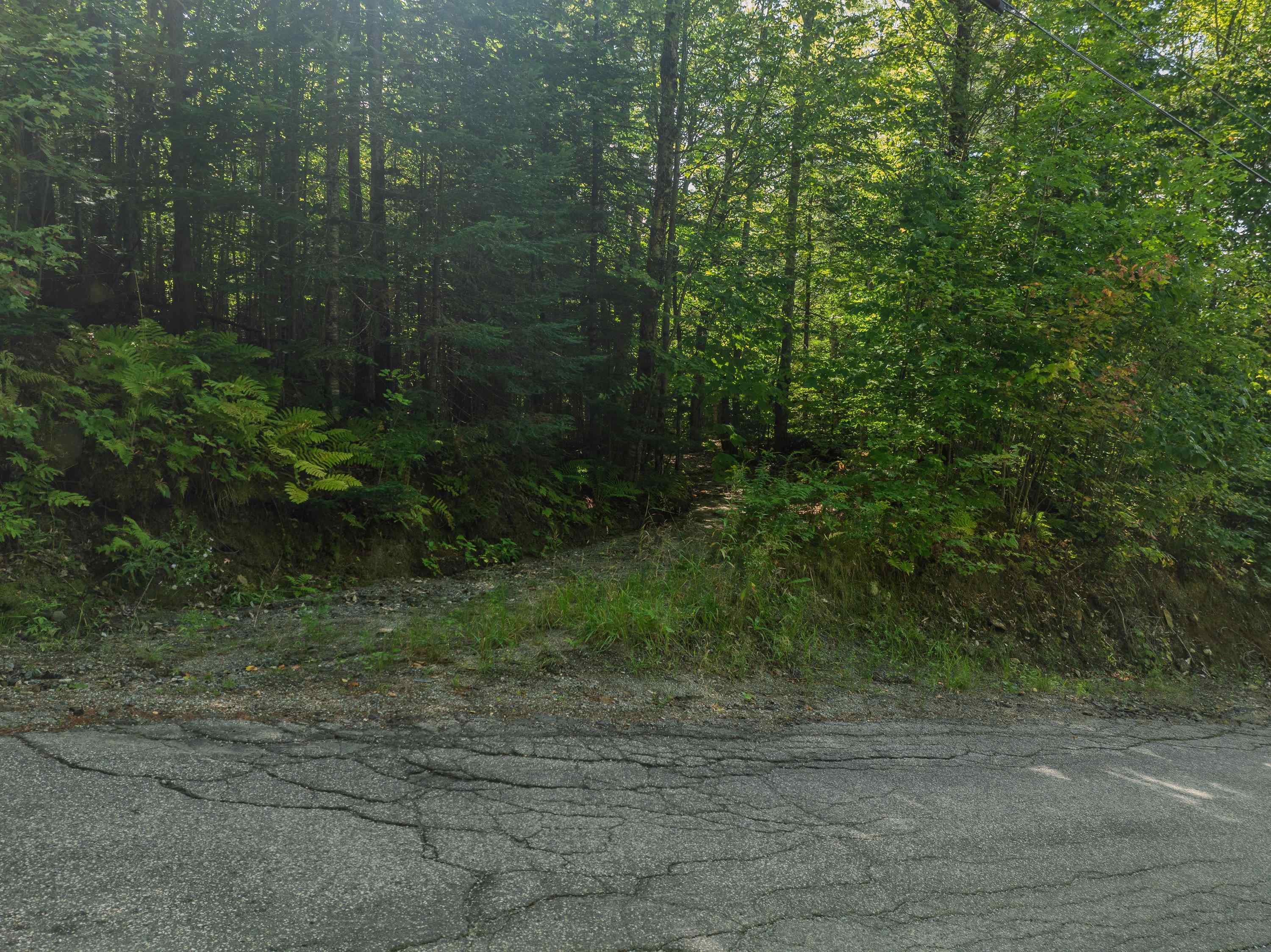 Homes for sale in Whitefield, NH | 28 Gould Rd, Whitefield, NH 03598 | MLS# 5058840