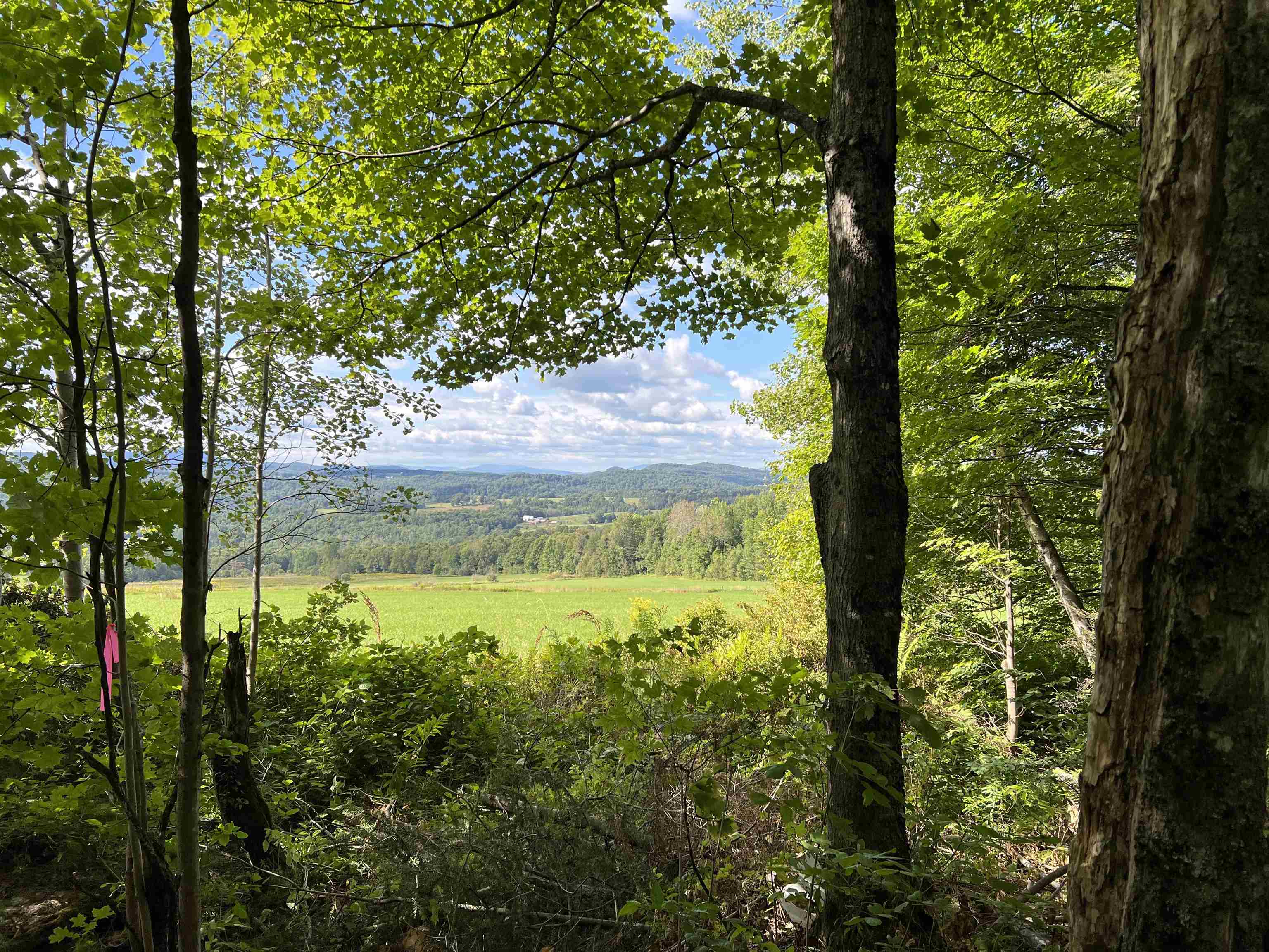 Homes for sale in Cabot, VT | 0 Danville Hill Rd, Cabot, VT 05647 | MLS# 5058842