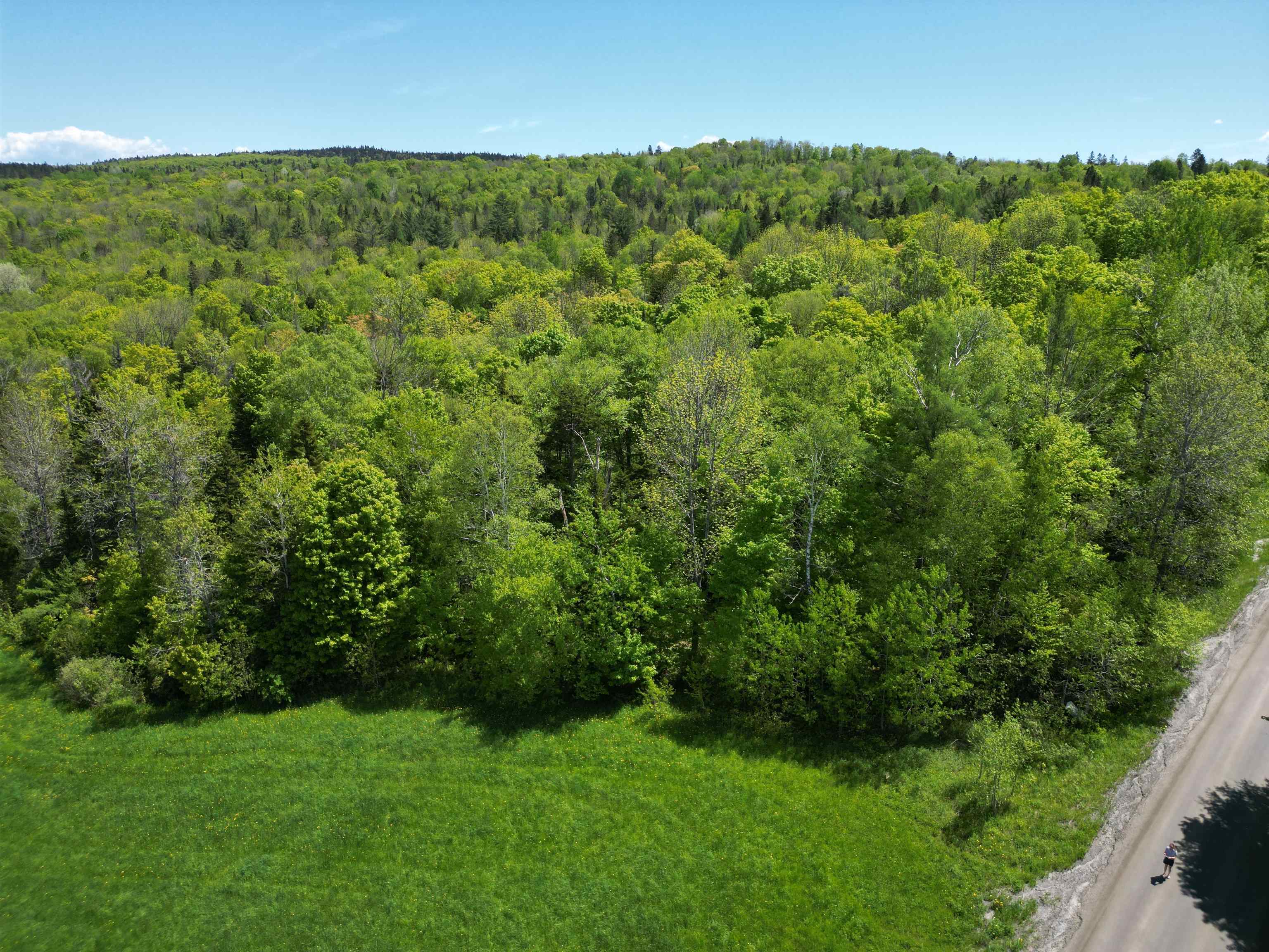 Homes for sale in Cabot, VT | 0 Danville Hill Rd, Cabot, VT 05647 | MLS# 5058842