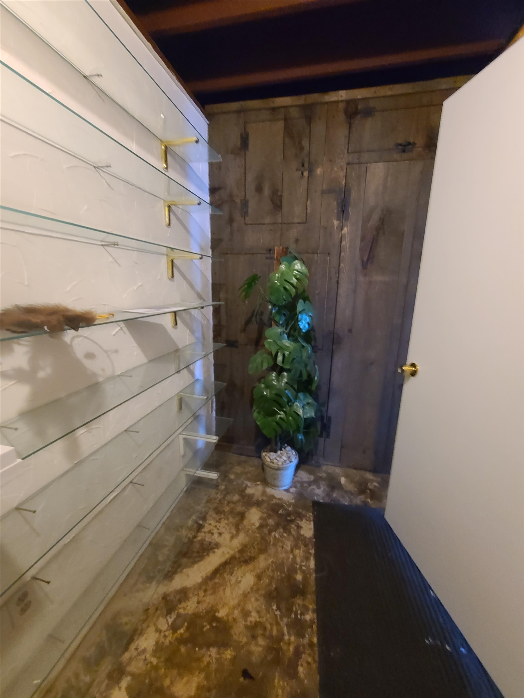 MLS #5058893 image #39