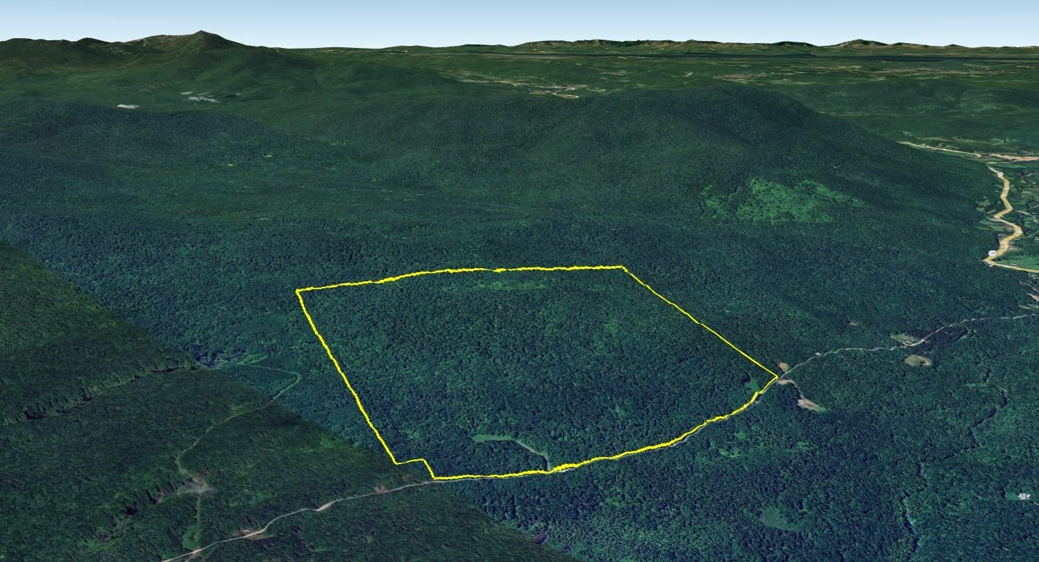 Homes for sale in Belvidere, VT | 0 Bog Rd, Belvidere, VT 05442 | MLS# 5058917