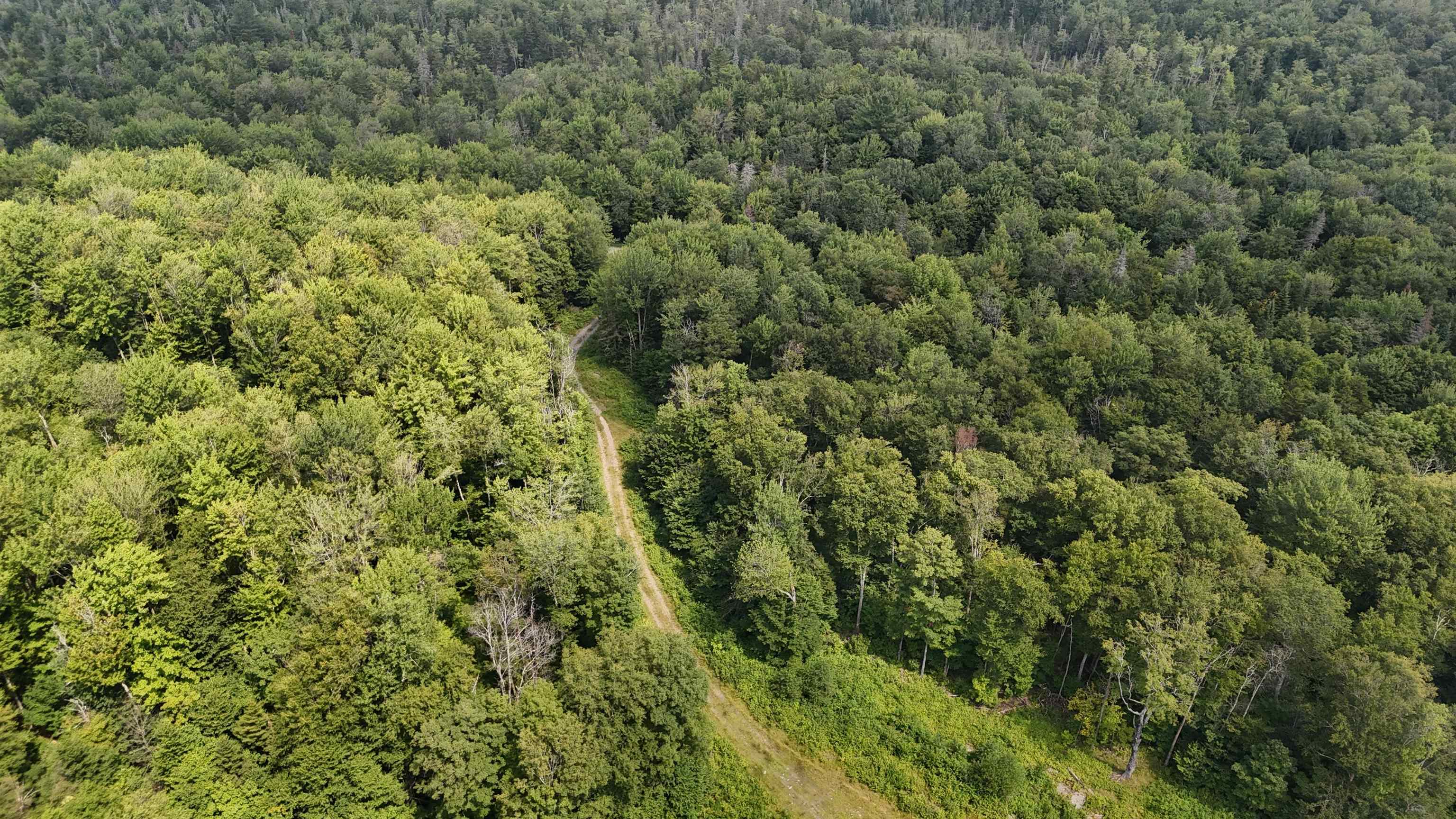 Homes for sale in Belvidere, VT | 0 Bog Rd, Belvidere, VT 05442 | MLS# 5058917