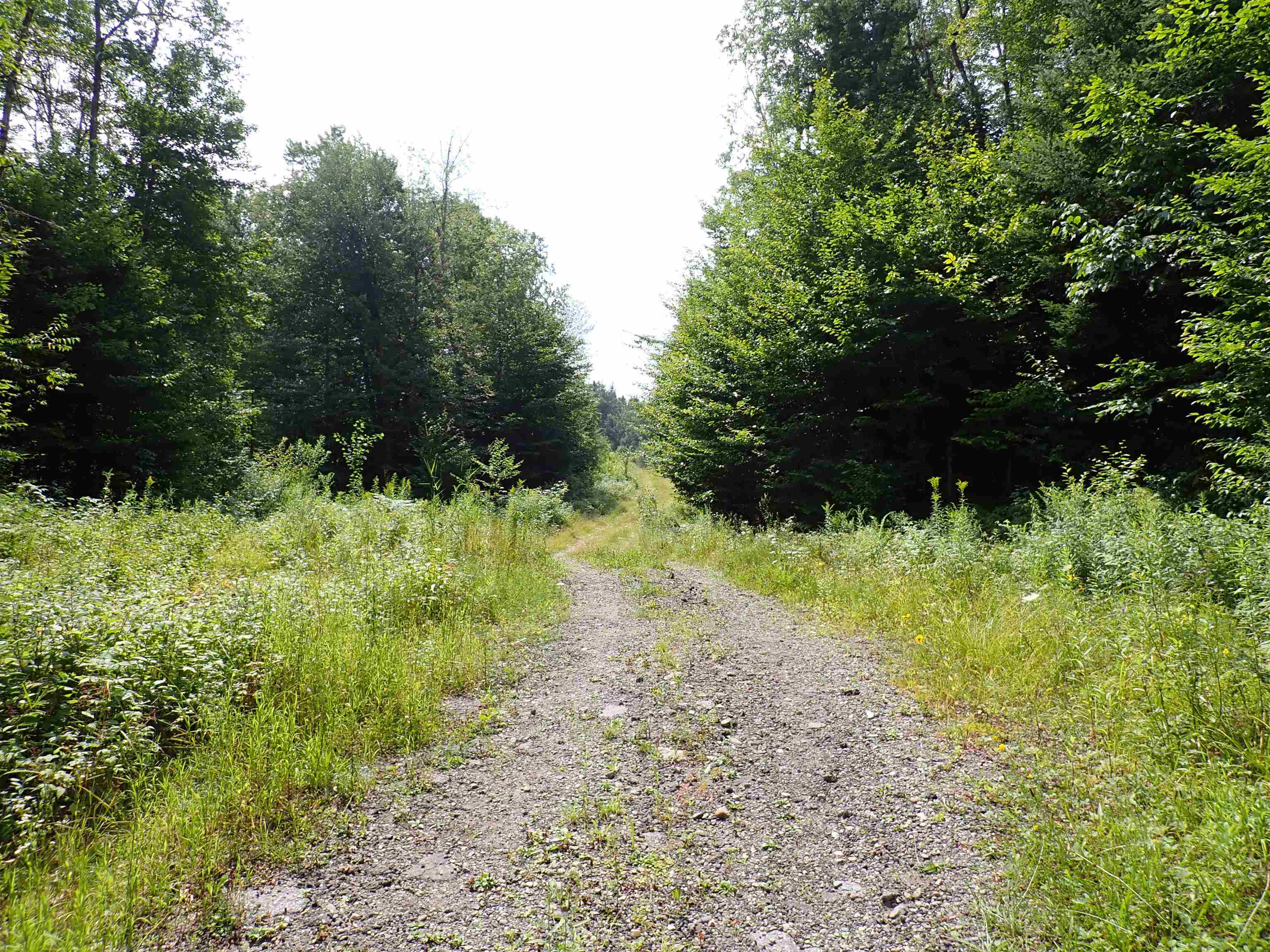 Homes for sale in Belvidere, VT | 0 Bog Rd, Belvidere, VT 05442 | MLS# 5058917