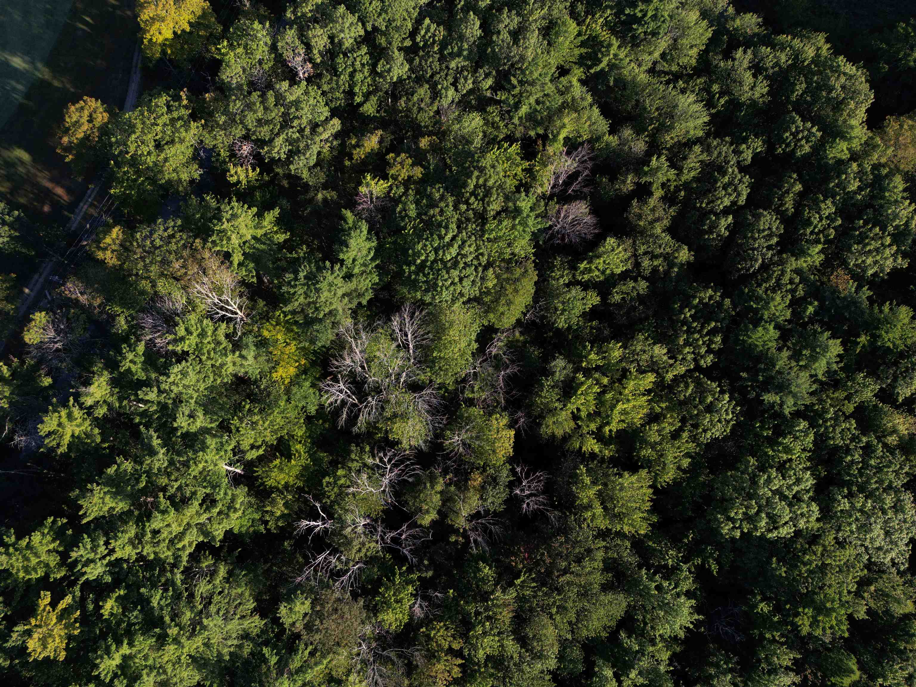 Homes for sale in Francestown, NH | 008 043 001 School House Rd, Francestown, NH 03043 | MLS# 5058958