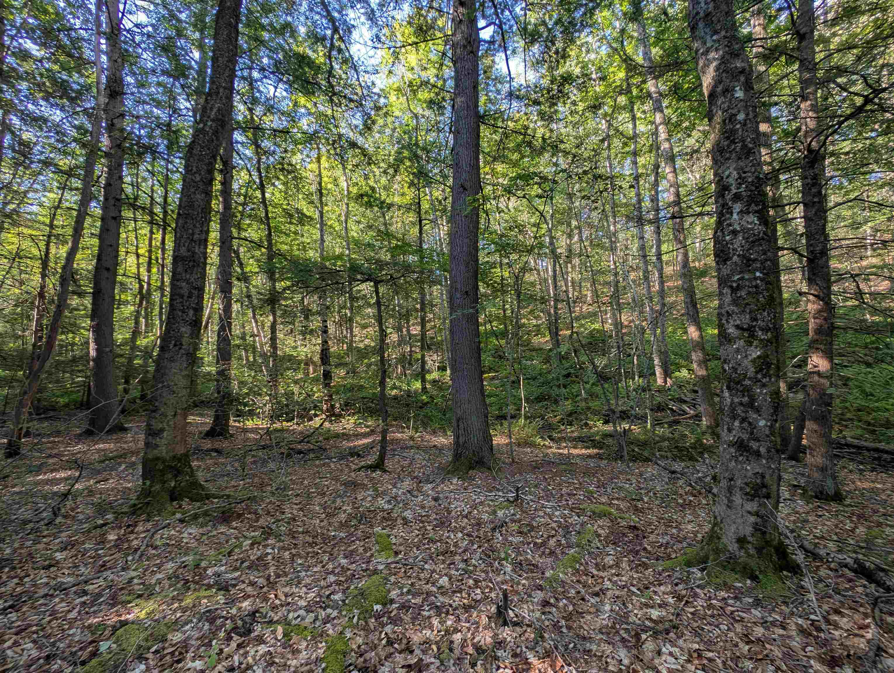 Homes for sale in Francestown, NH | 008-043-001 School House Rd, Francestown, NH 03043 | MLS# 5058958