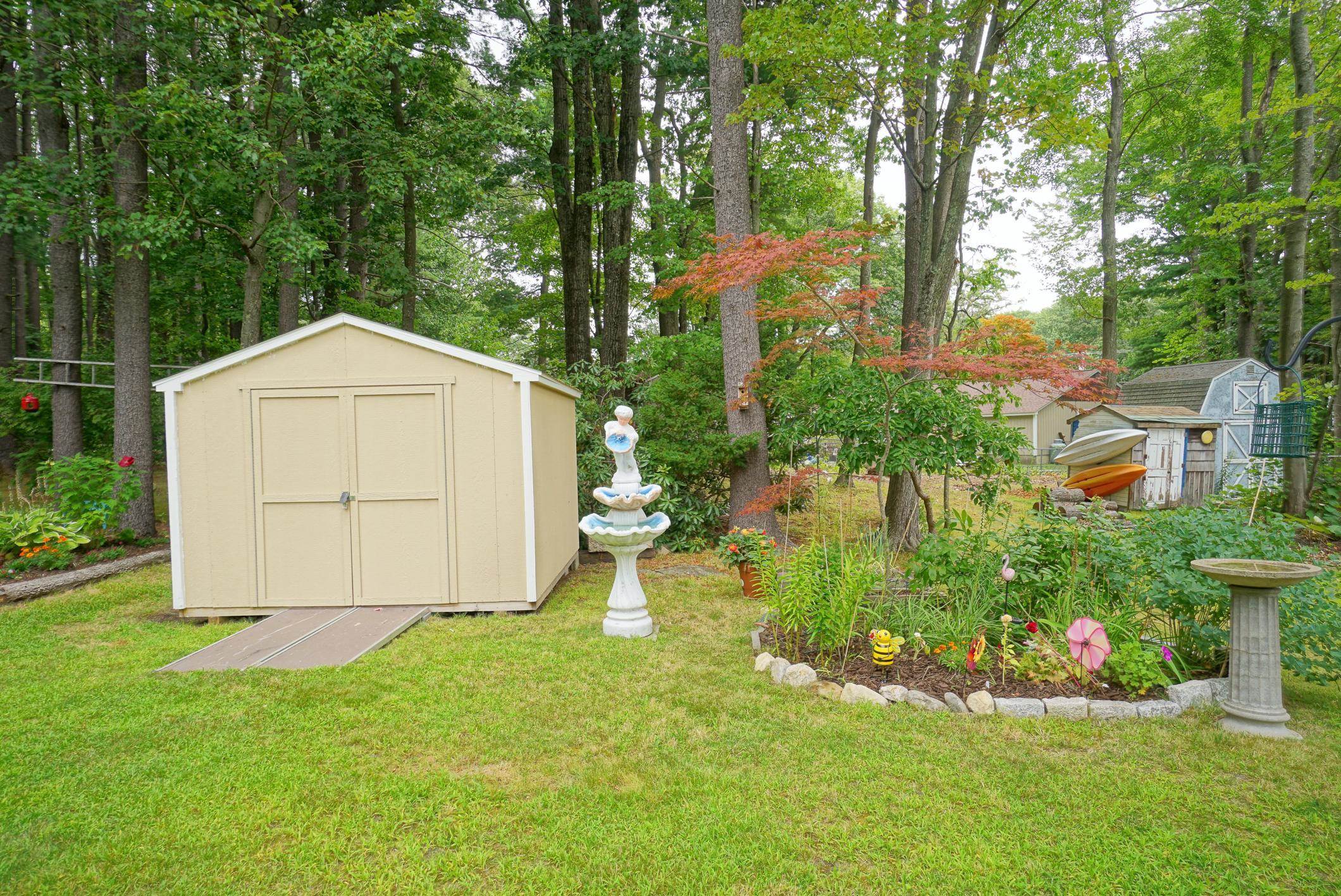 back yard 23961155