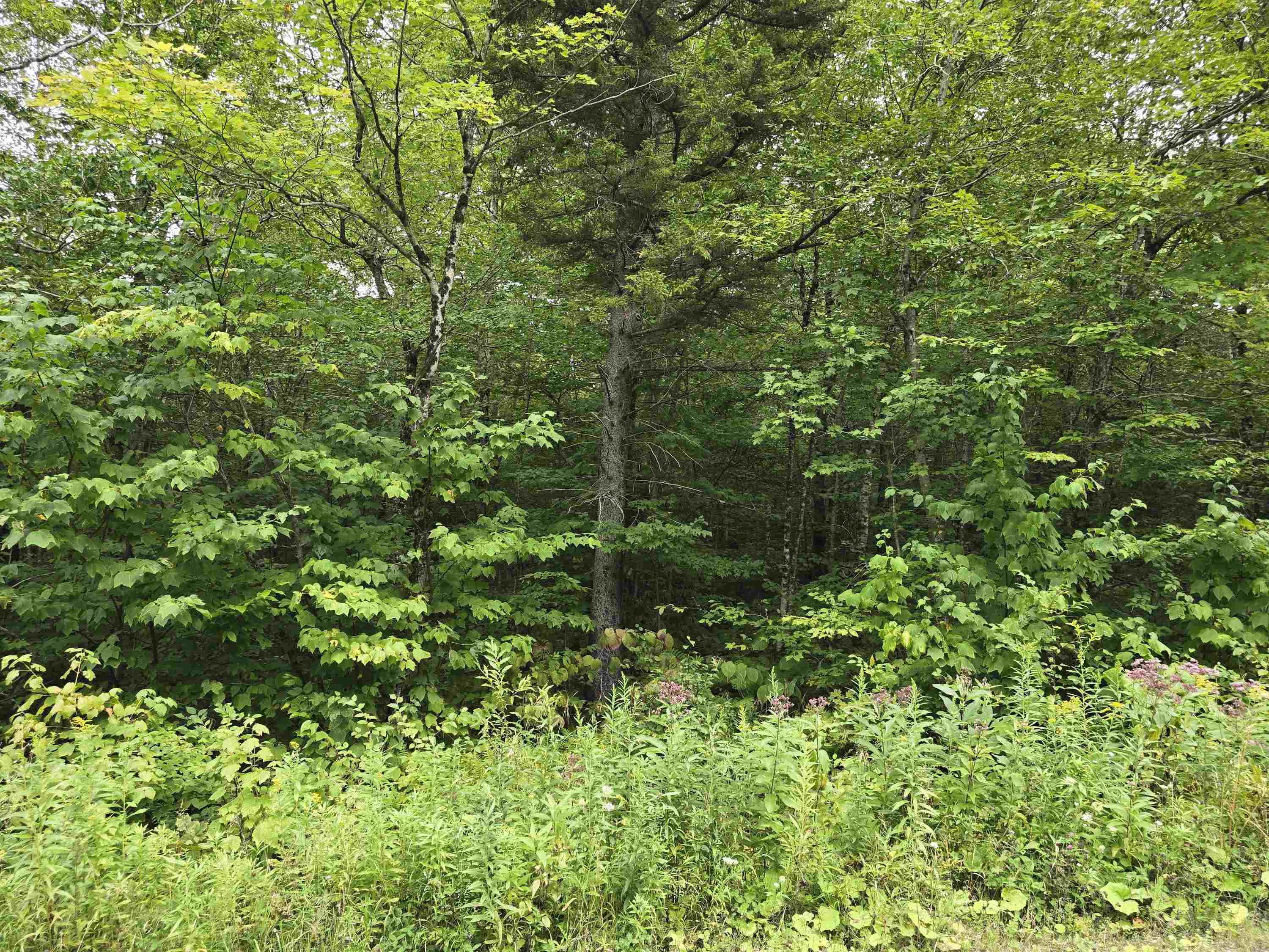 Stamford VT Land for sale $39,500 | 2 Acres  | Price Per Acre $0  | Total Lots 2