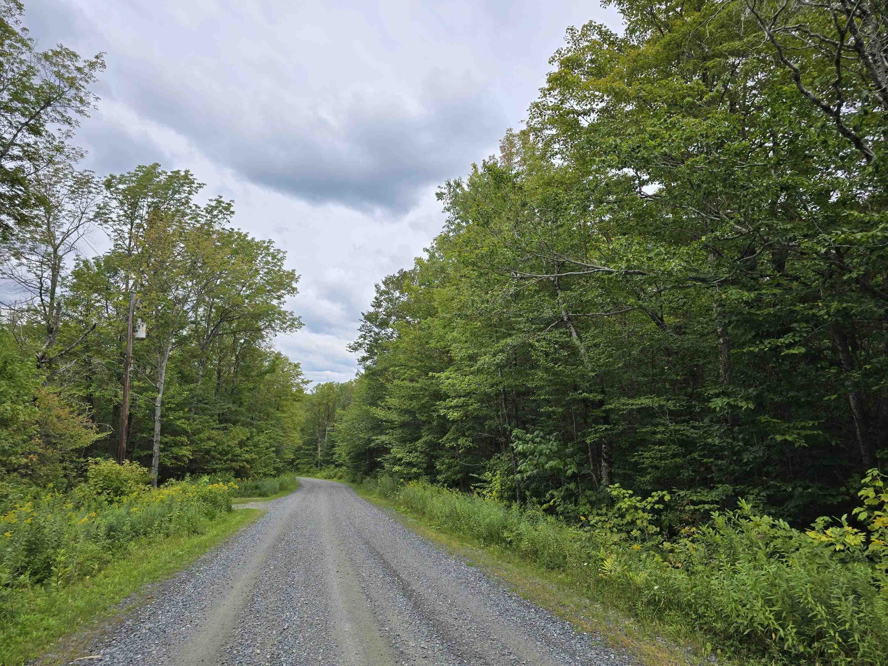 view down the road - facing north