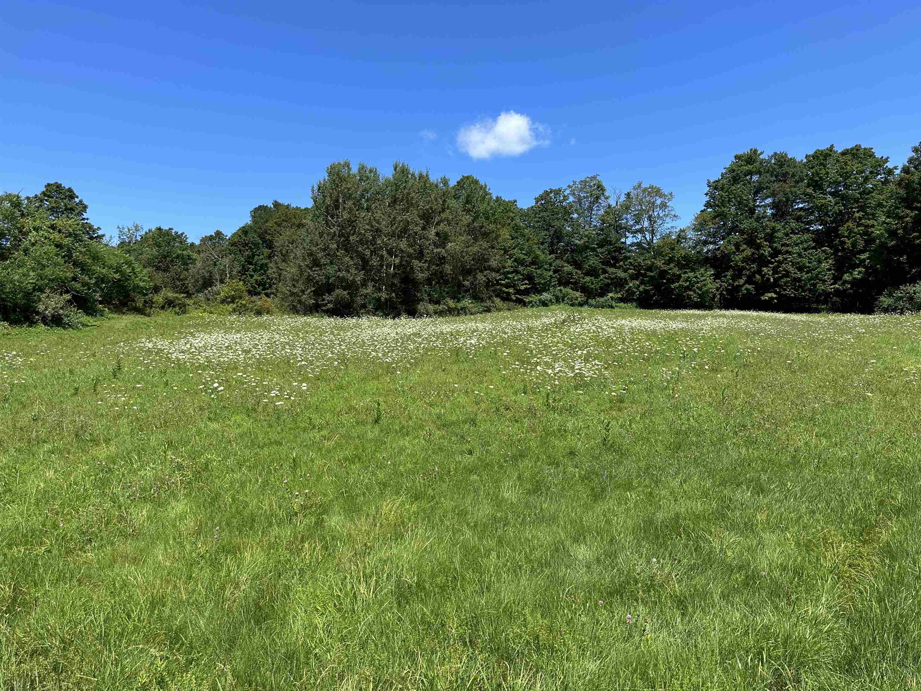 surrounded by wooded area