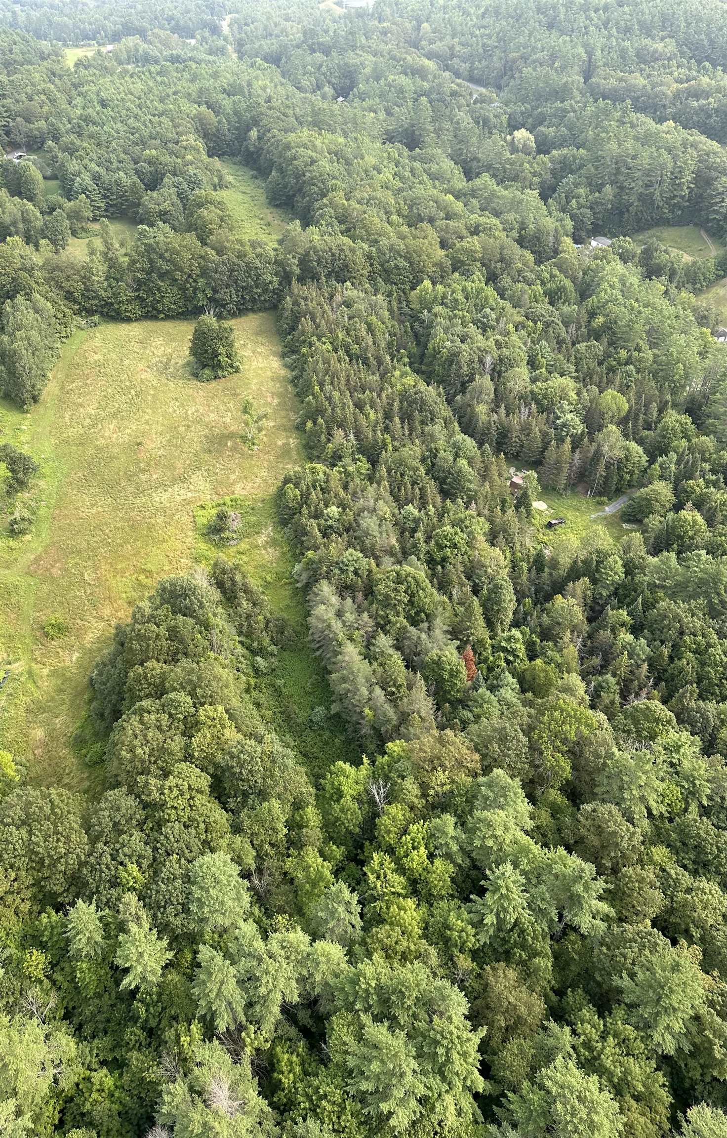 Aeriel view showing teo clearings