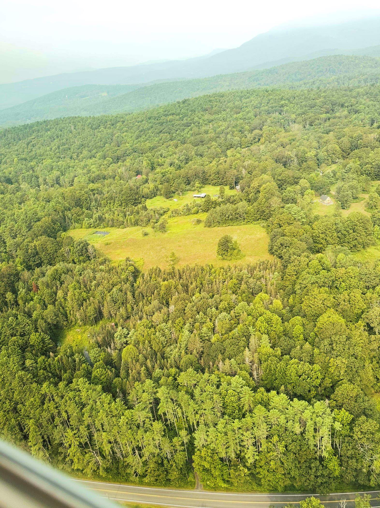 driveway is in the center bottom of this picture