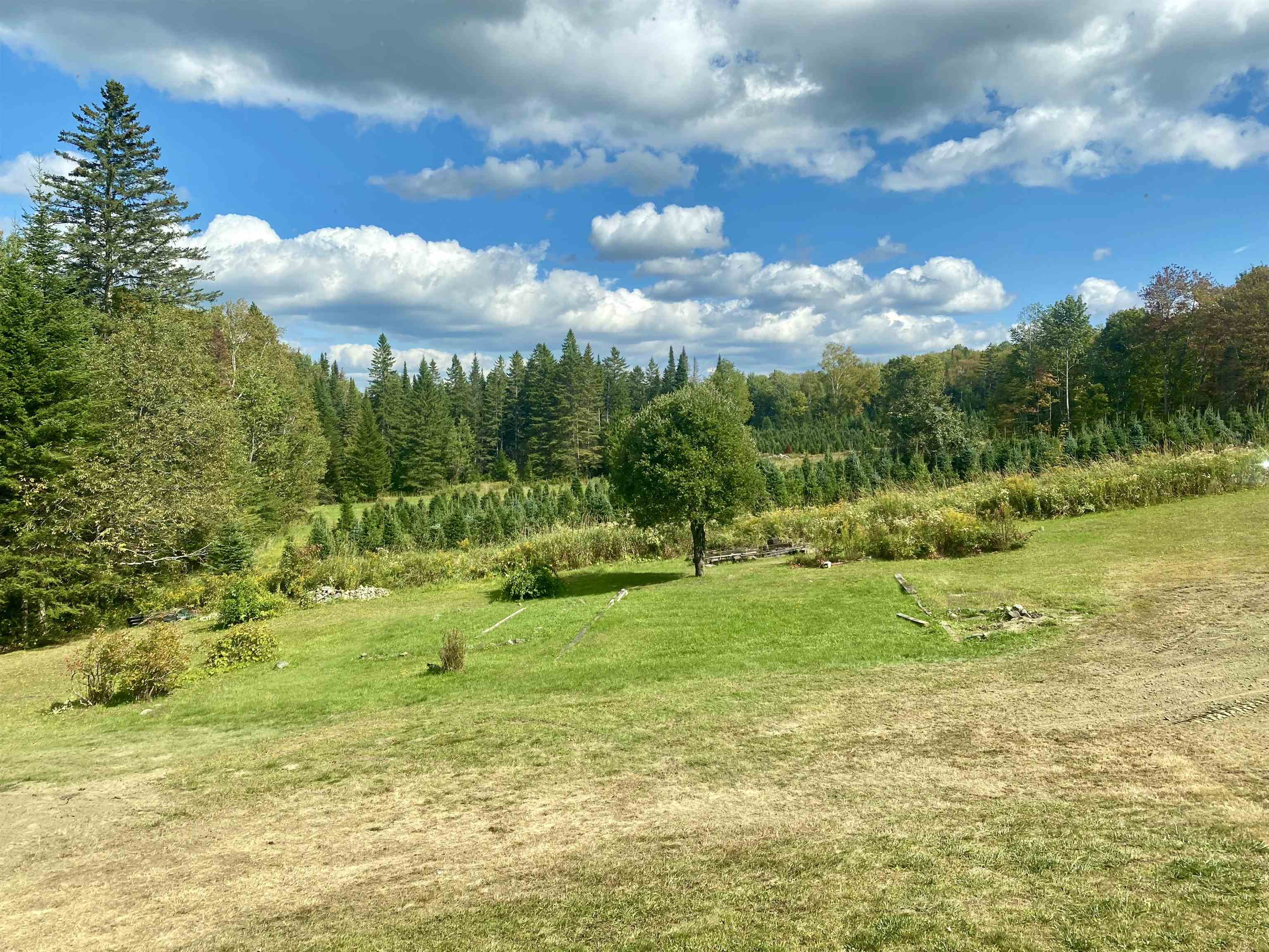 MLS #5059351 image #8