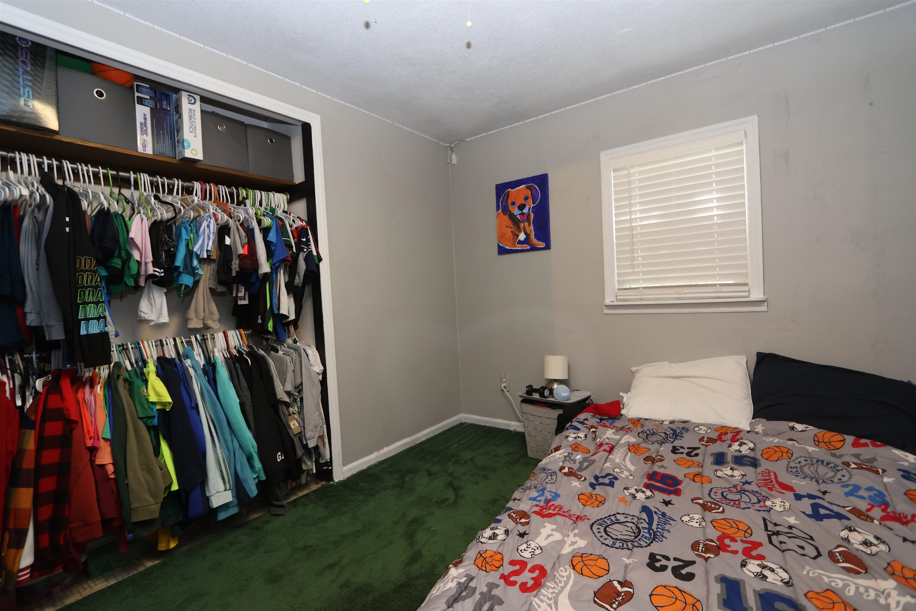 Photo 19 of 29