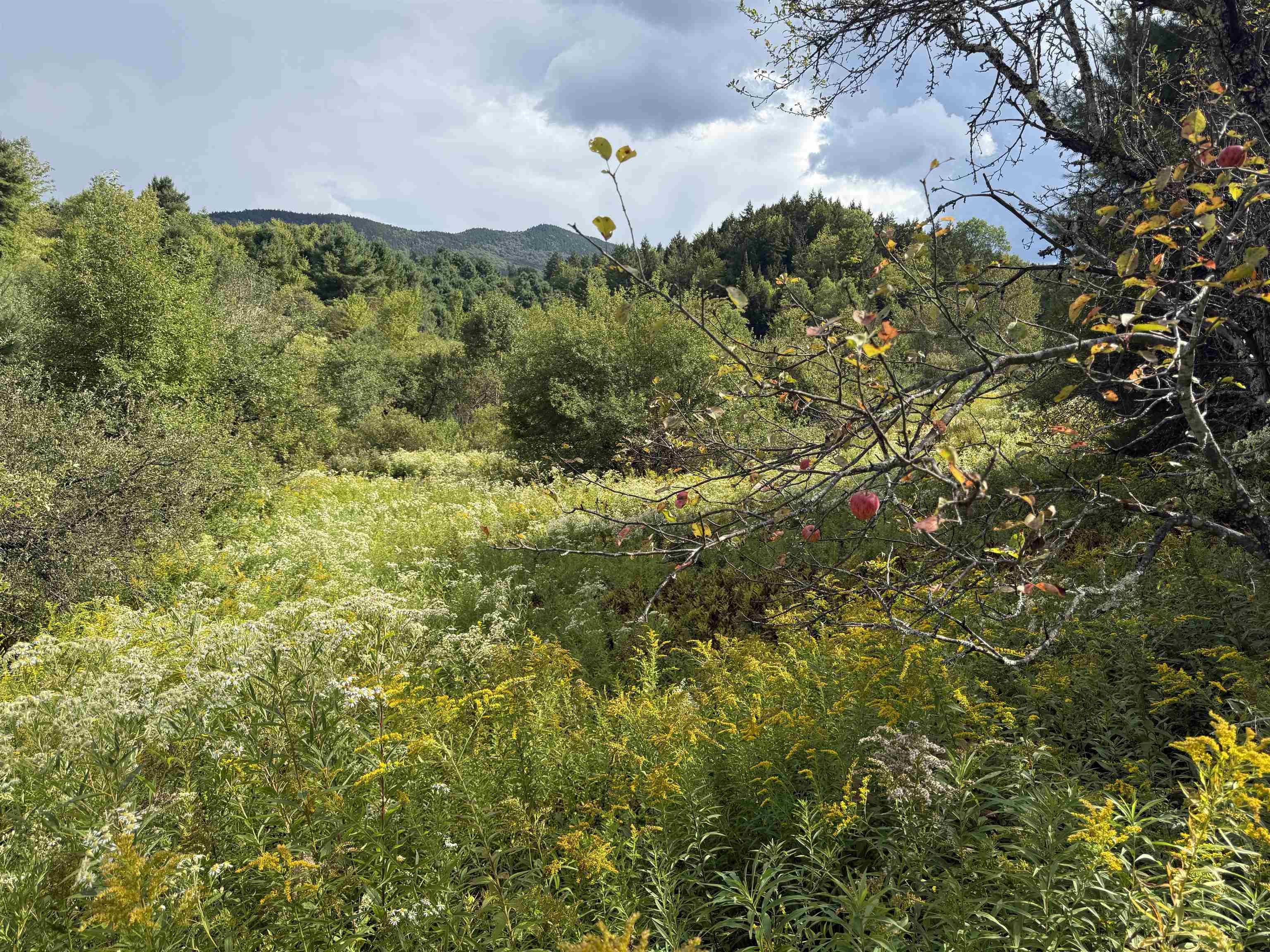 Homes for sale in Morristown, VT | Lot 0 Darling Rd, Morristown, VT 05661 | MLS# 5059571