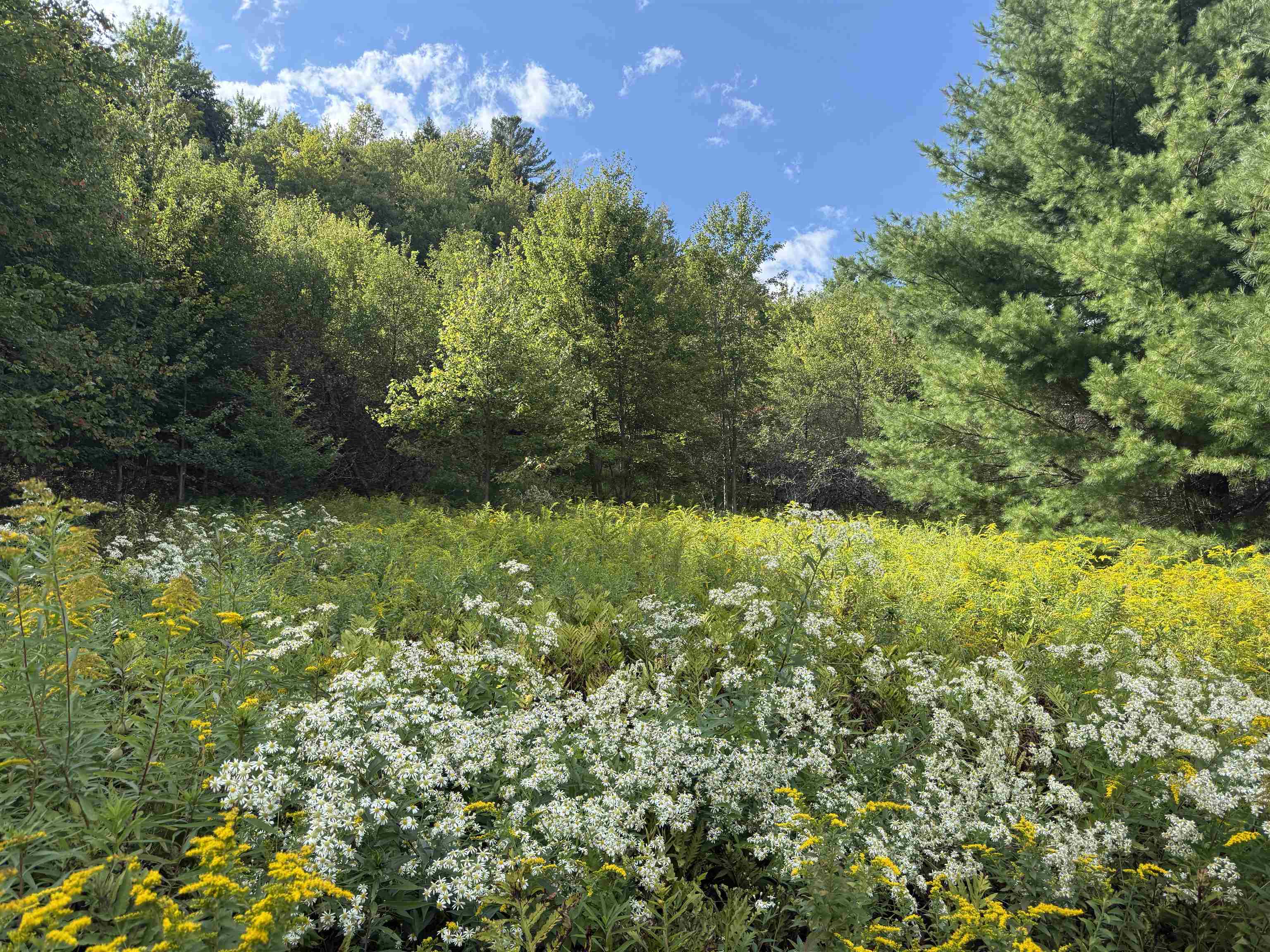 Homes for sale in Morristown, VT | Lot 0 Darling Rd, Morristown, VT 05661 | MLS# 5059571
