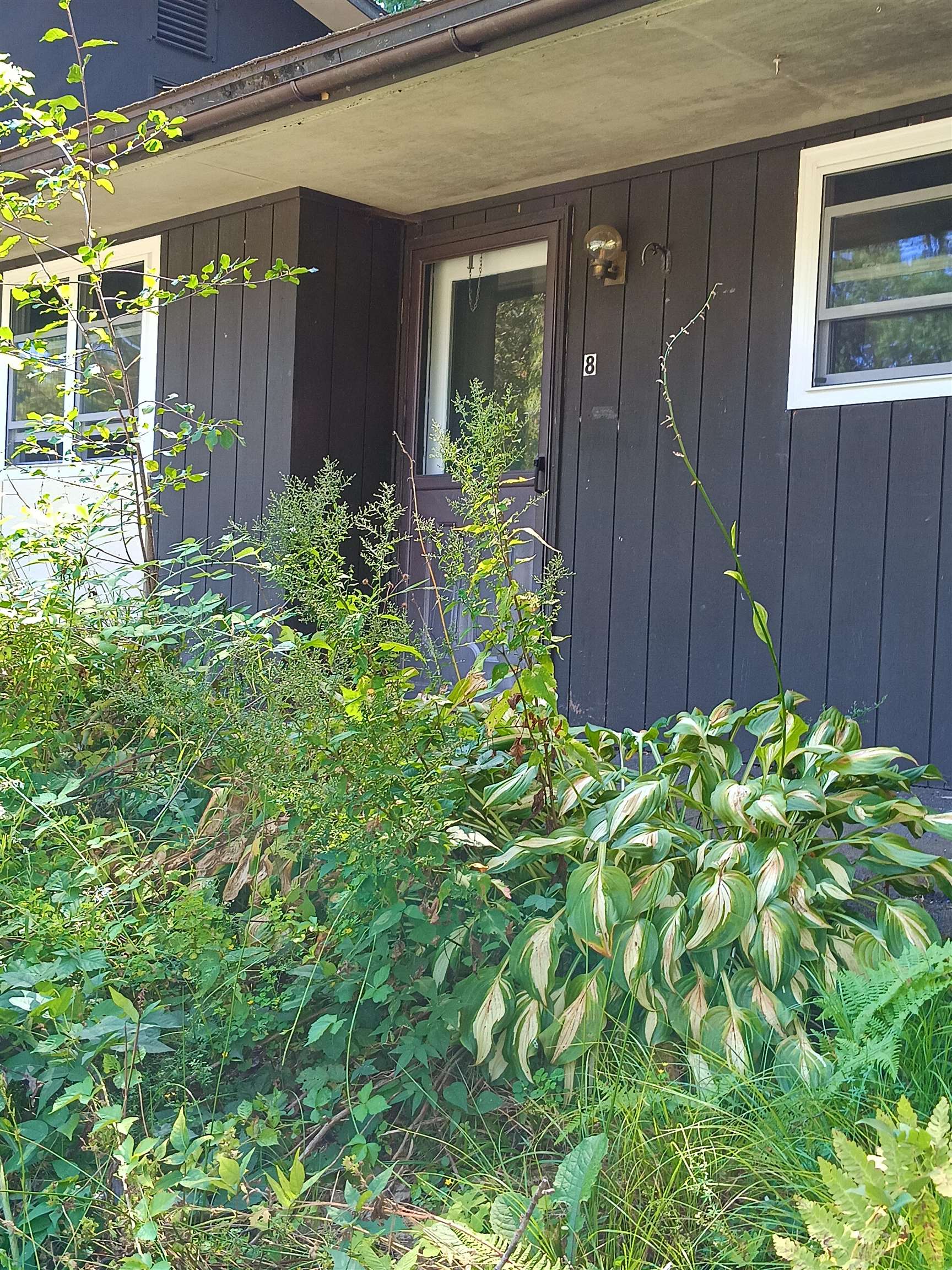 Brattleboro VT Condo for sale $150,000 $214 per sq.ft.
