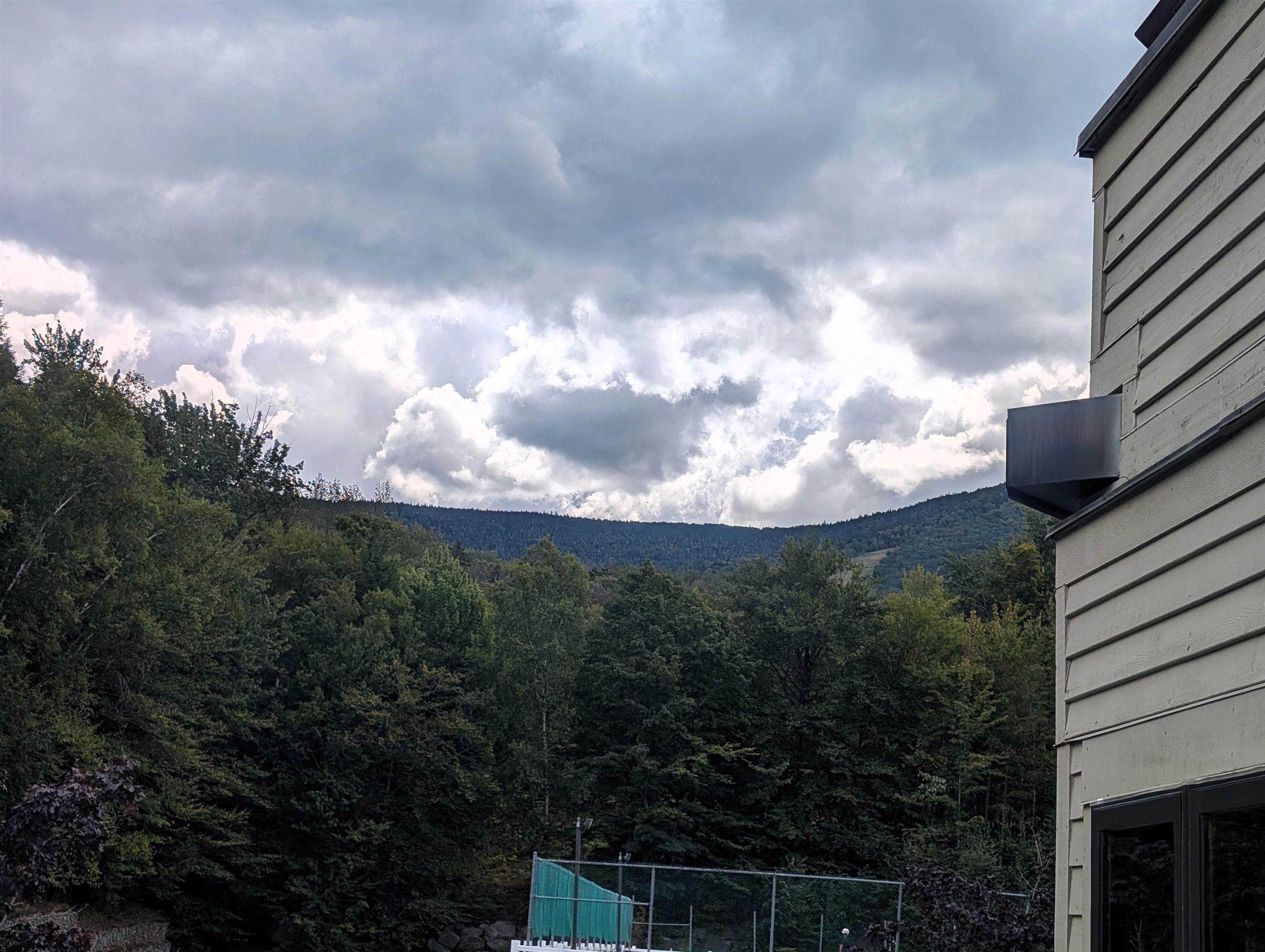 MLS #5059703 image #11