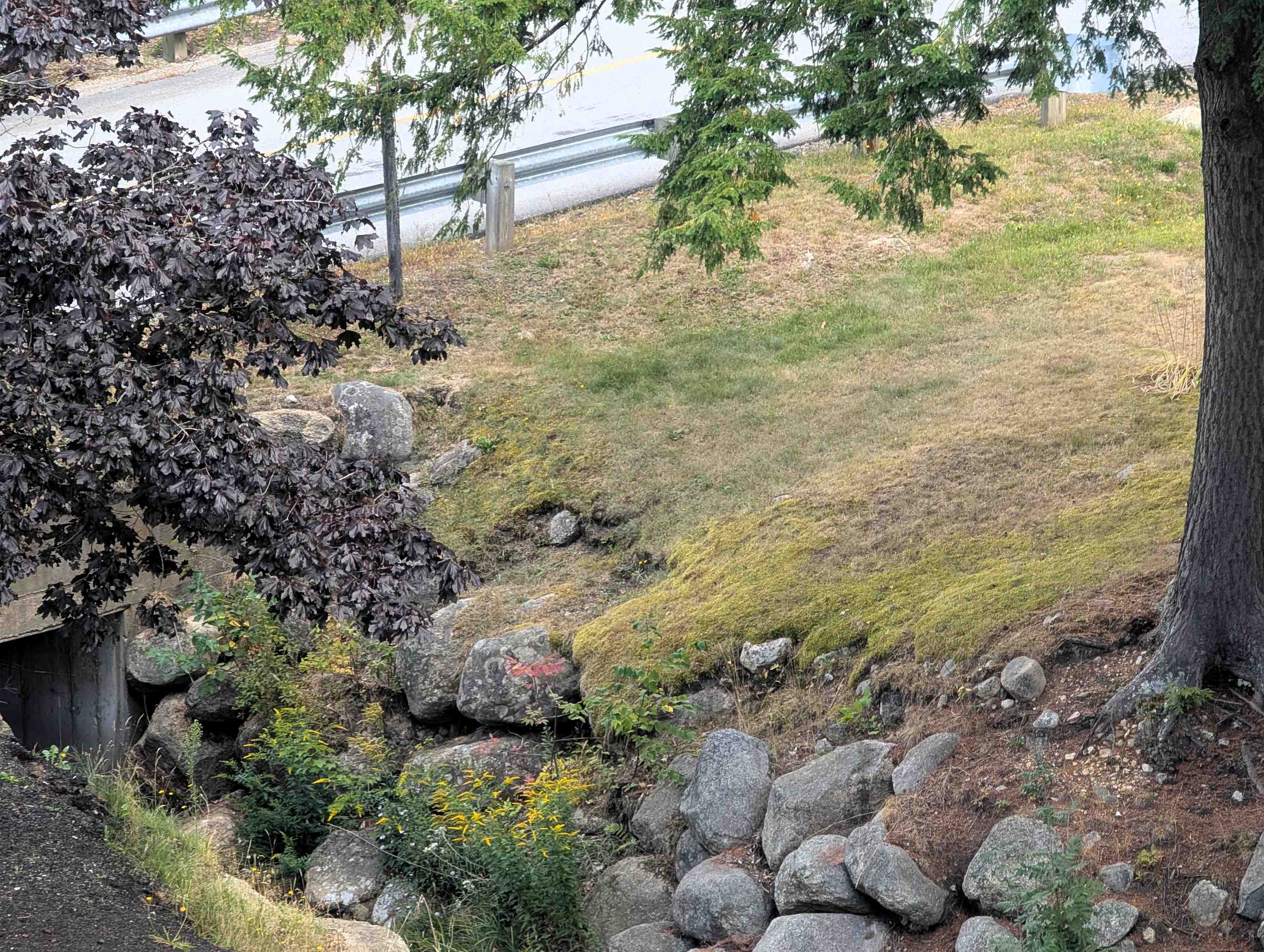 MLS #5059703 image #7