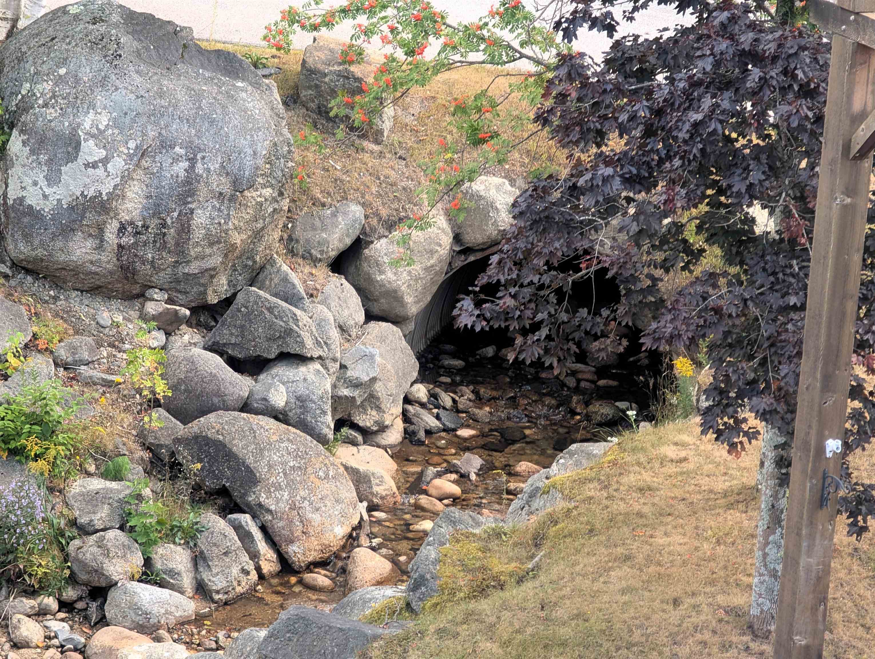 MLS #5059703 image #8