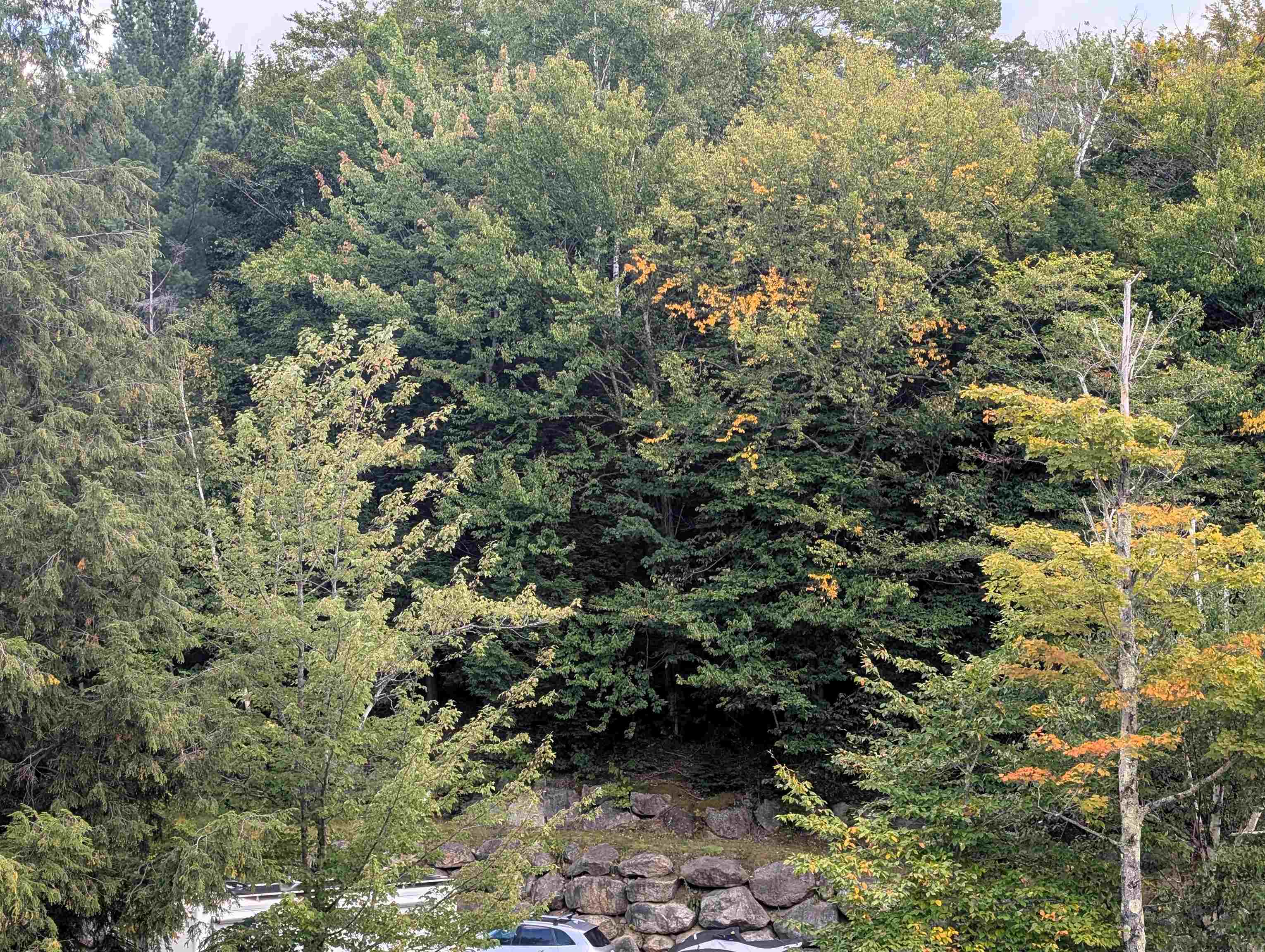 MLS #5059703 image #9