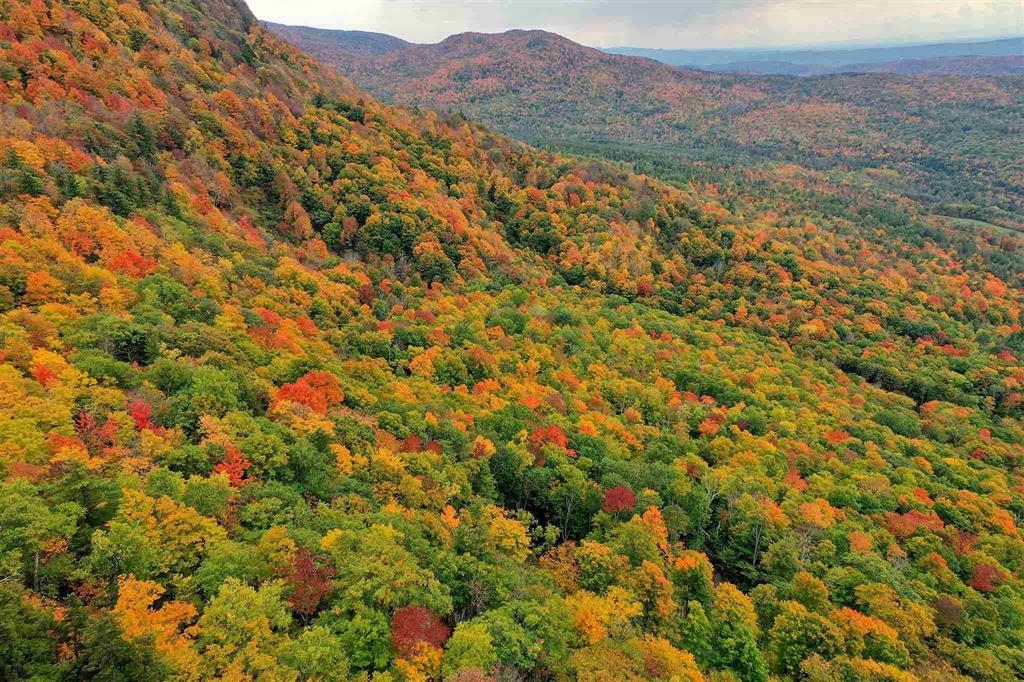 aerial area views