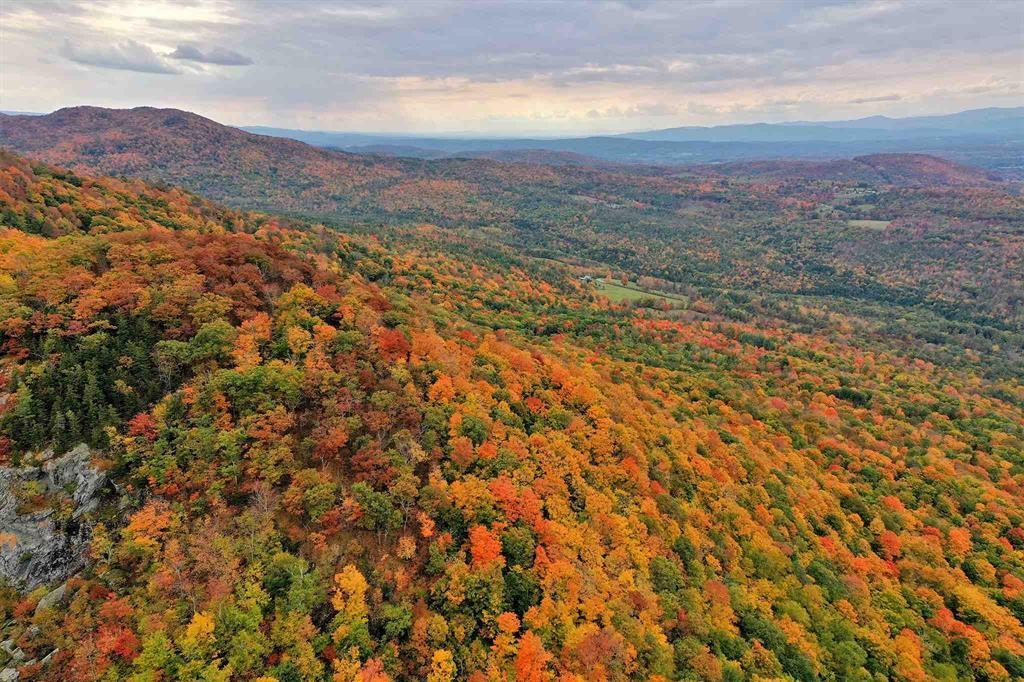 aerial area views