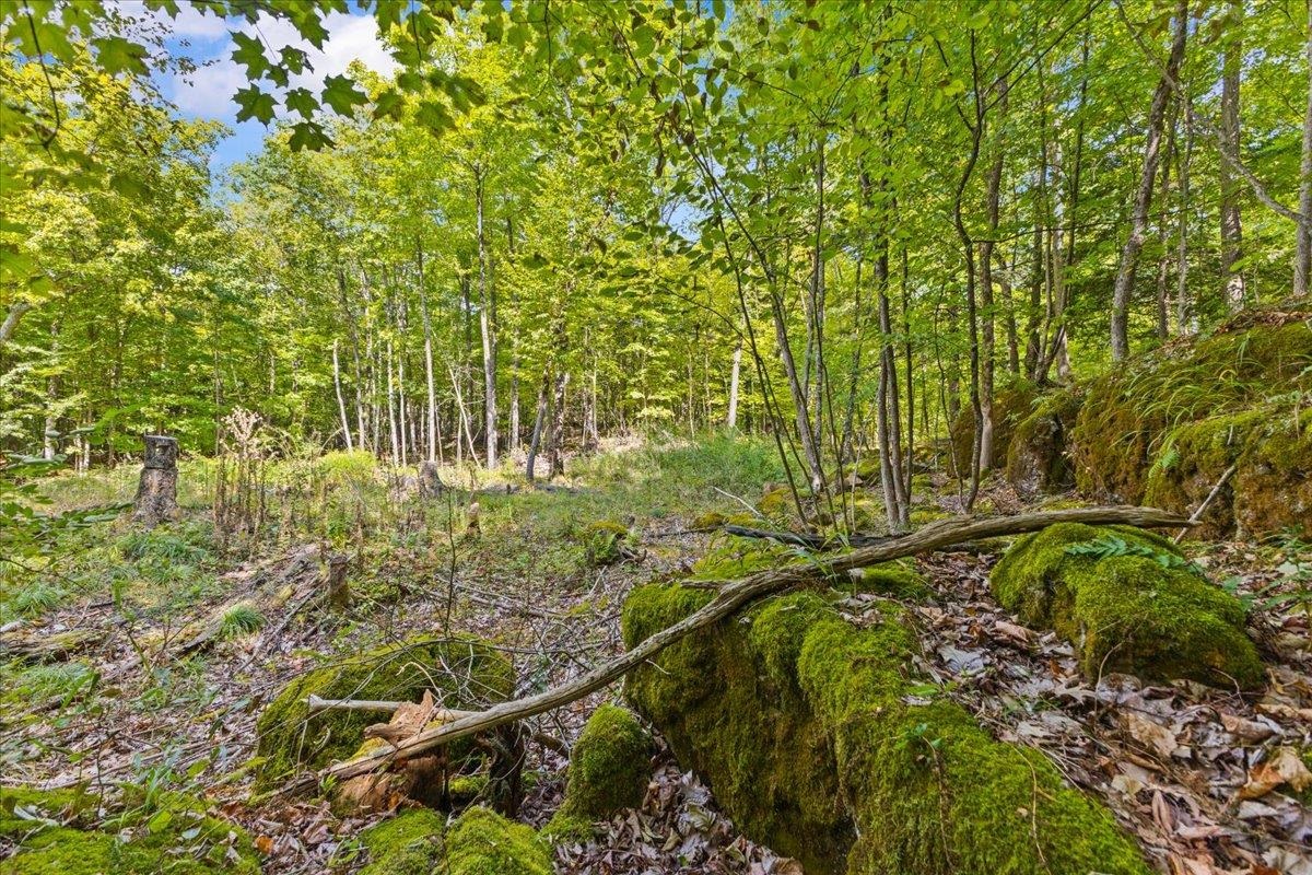 Homes for sale in Colchester, VT | 514 Red Rock Rd, Colchester, VT 05446 | MLS# 5059808