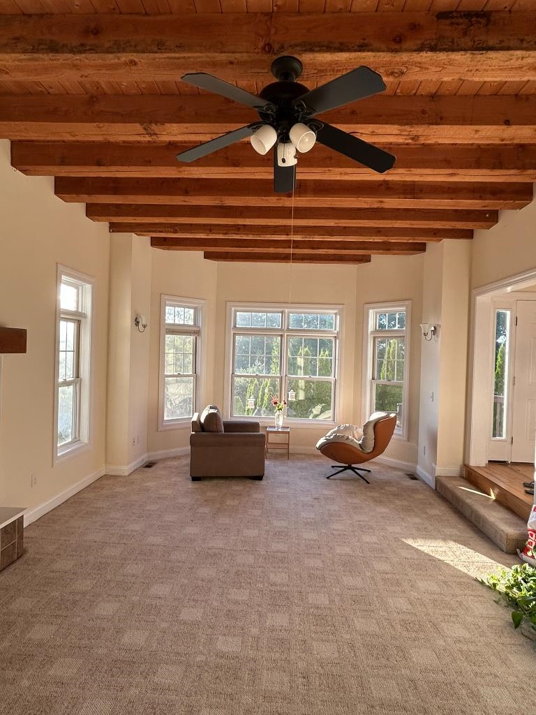 MLS #5059910 image #13