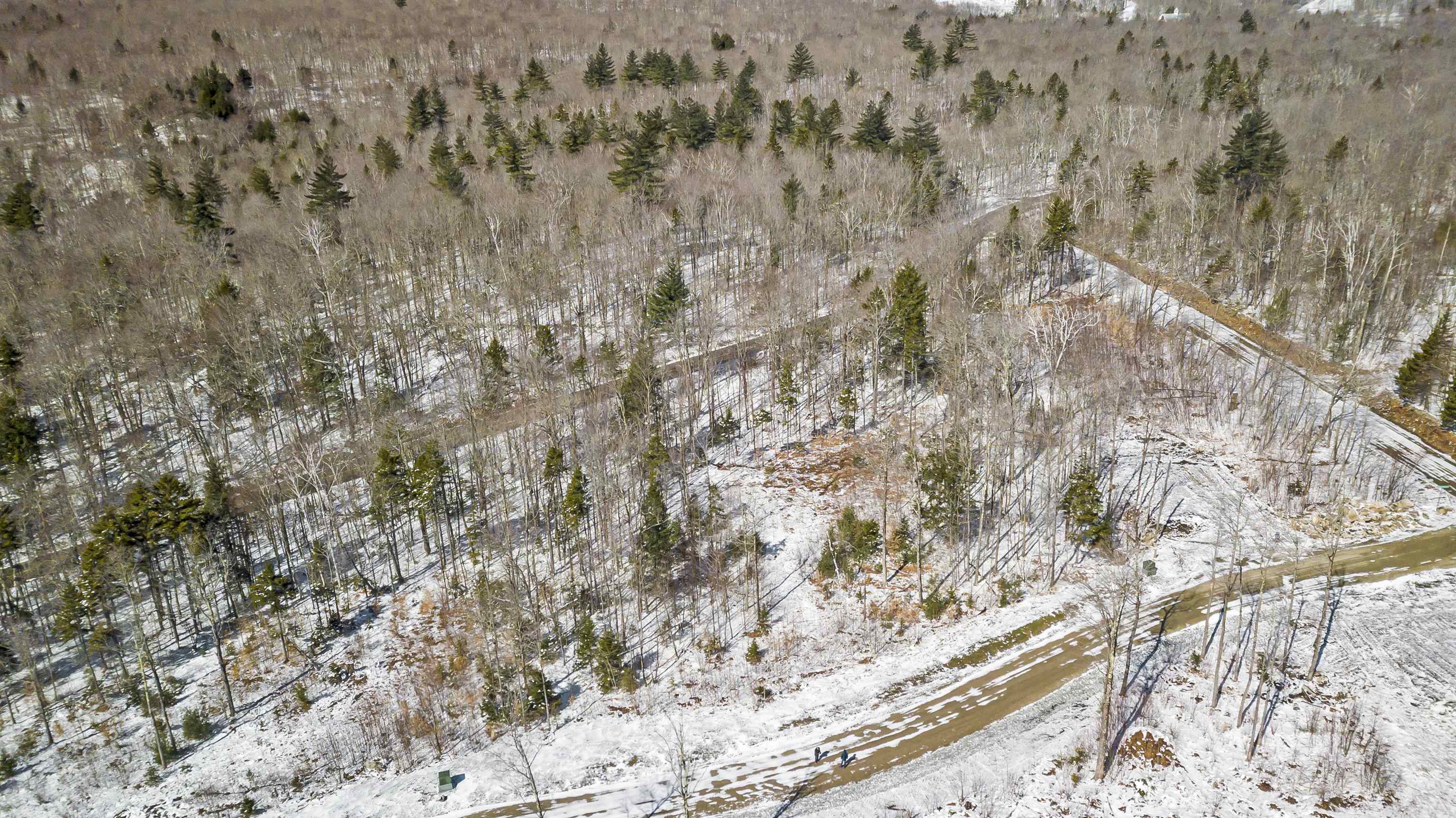 Homes for sale in Stratton, VT | 4 Gold Medal Cir, Stratton, VT 05155 | MLS# 5059954