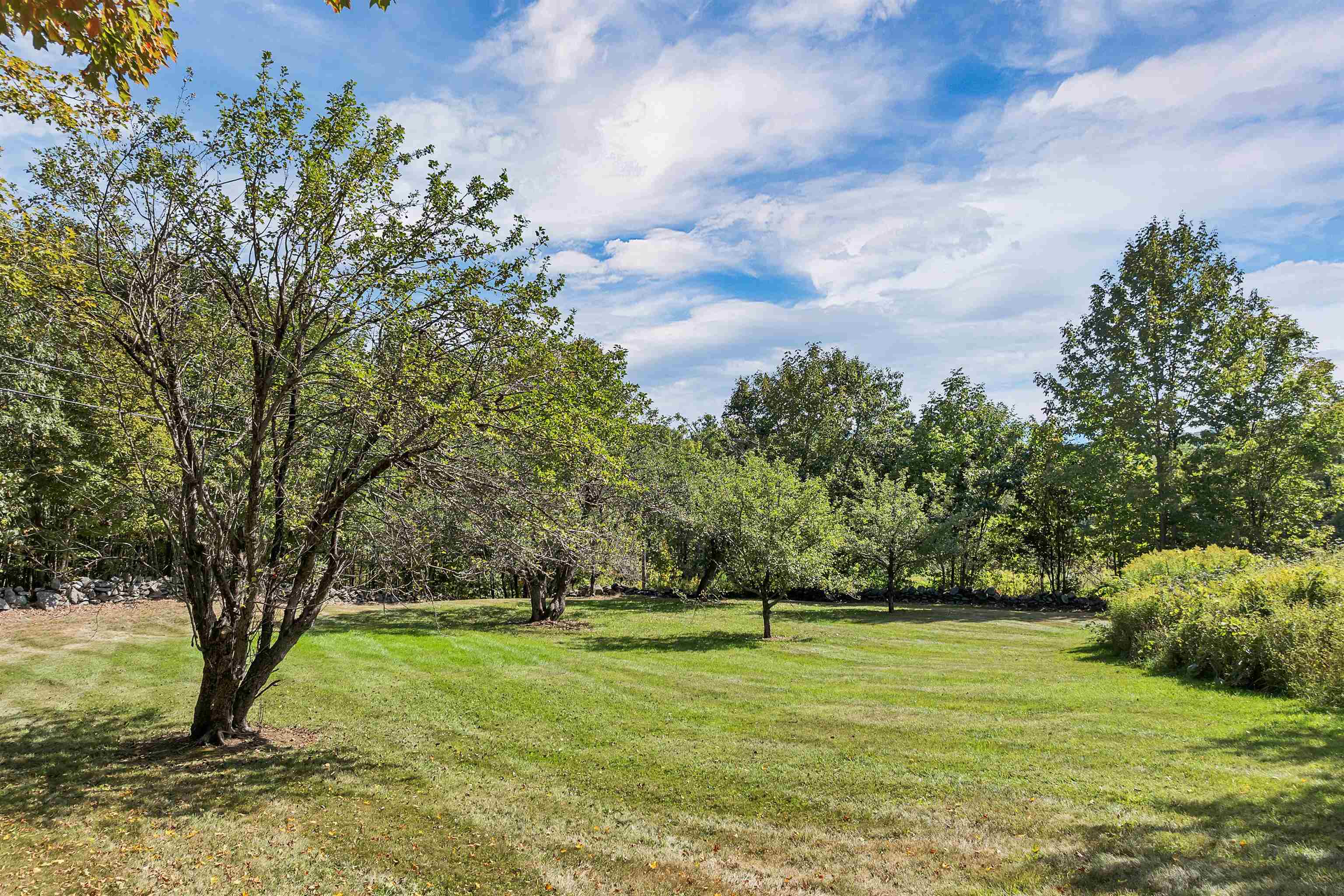 fruit trees
