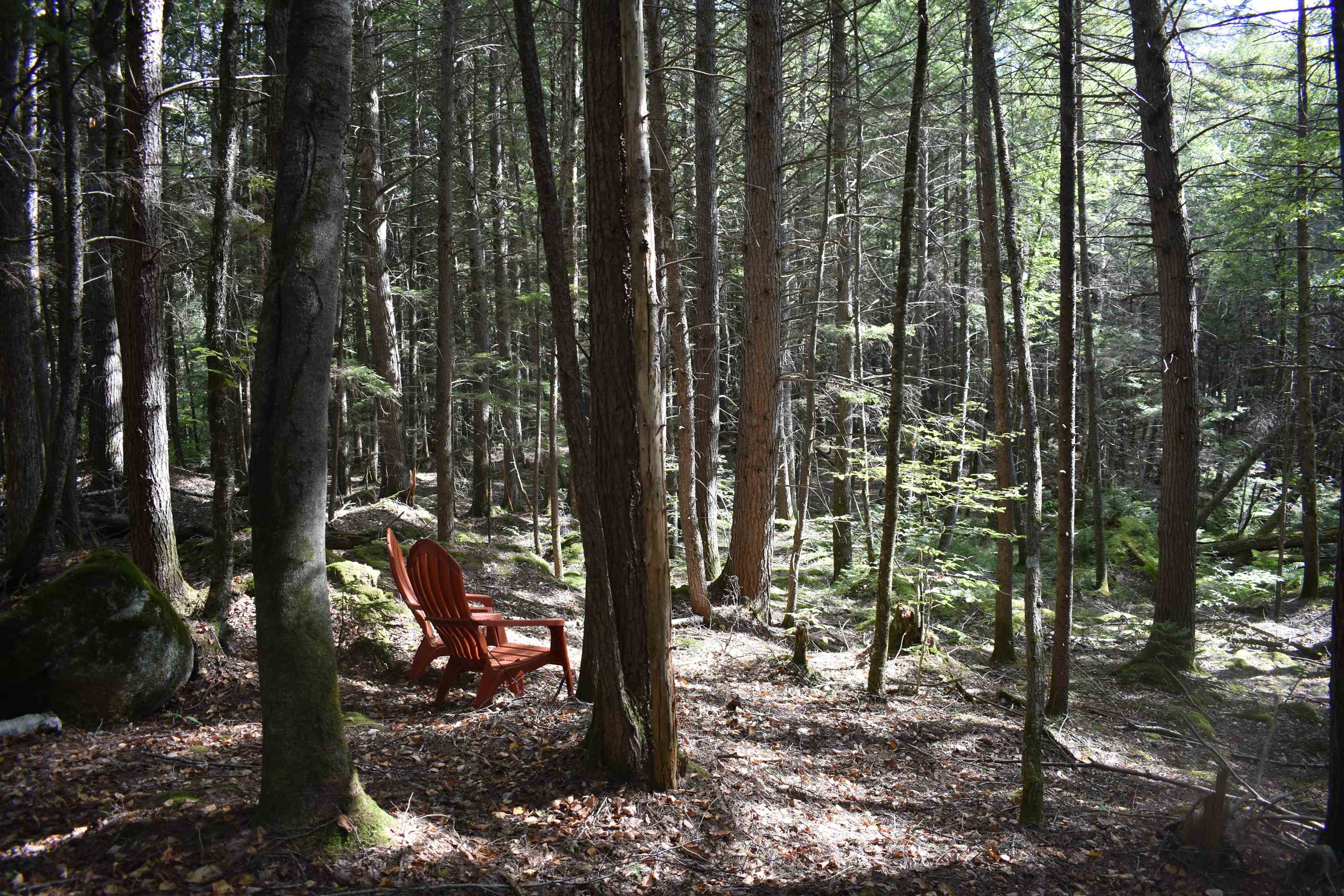 CANAAN NH Land for sale $$50,000 | 0.73 Acres  | Price Per Acre $0 