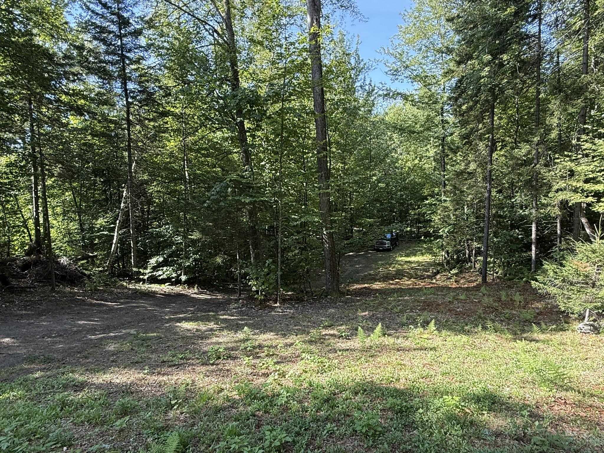 Homes for sale in Woodbury, VT | (tr #18) Old Woodbury Mountain Rd, Woodbury, VT 05681 | MLS# 5060011