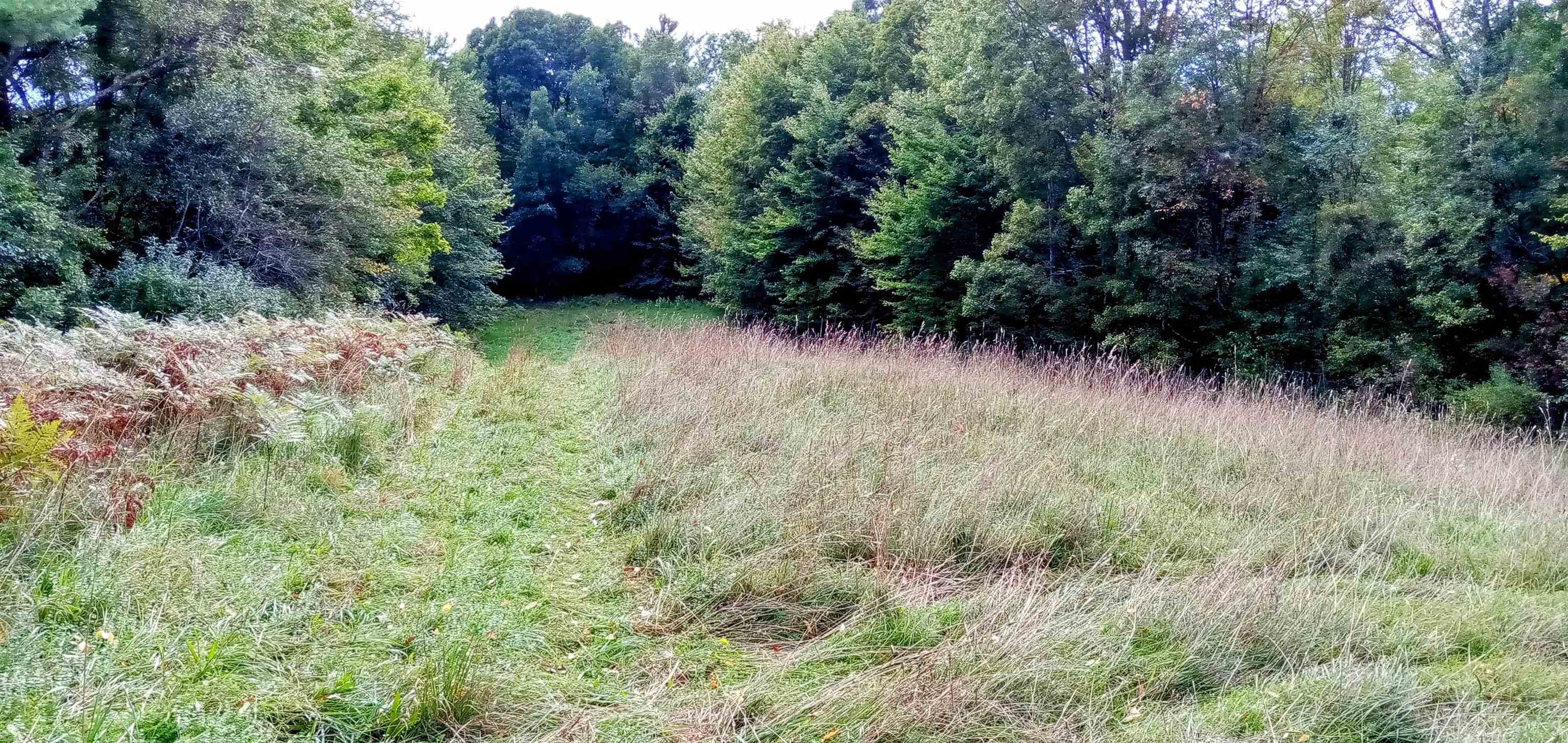 Homes for sale in Morristown, VT | 658 Lower Elmore Mt Rd, Morristown, VT 05661 | MLS# 5060017