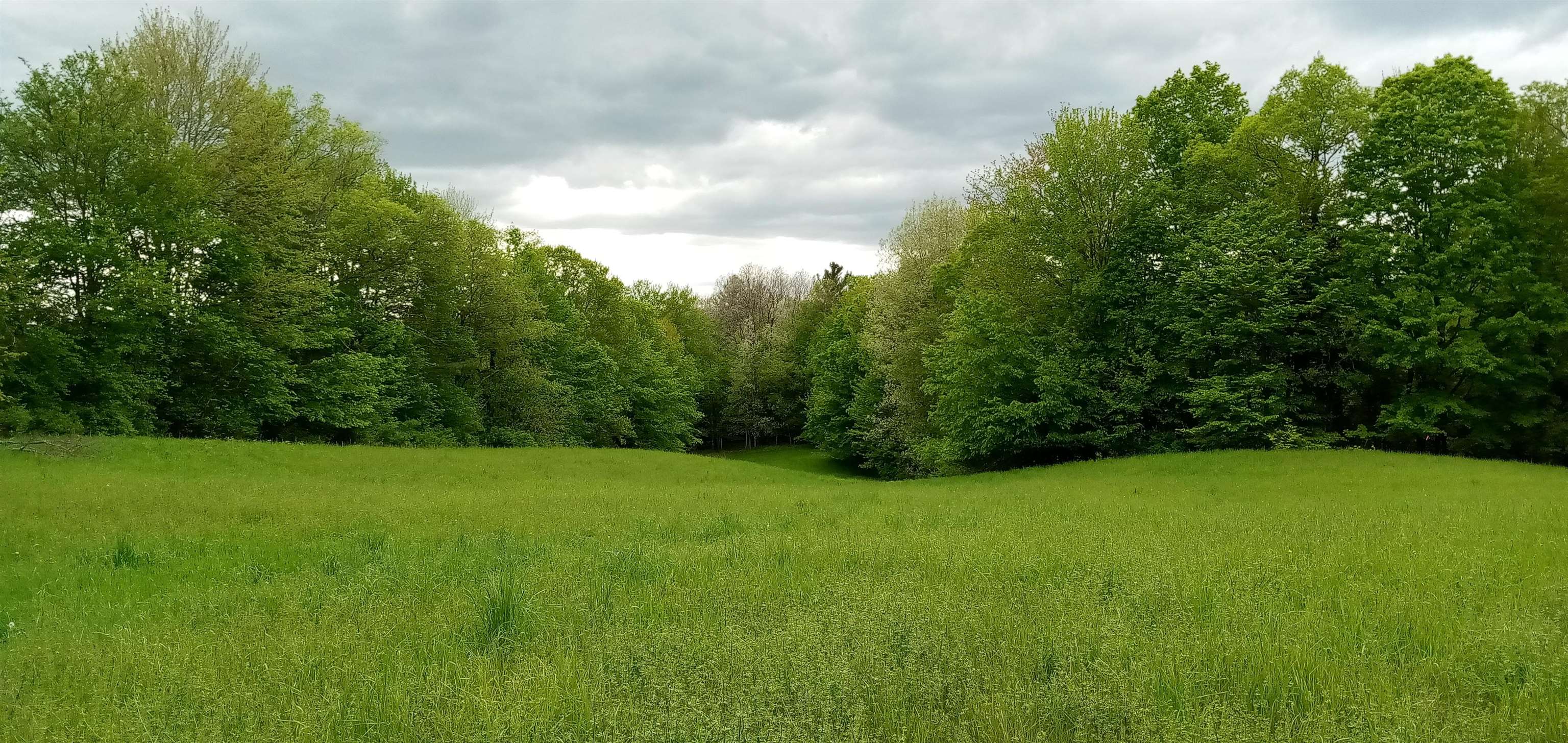 Homes for sale in Morristown, VT | 658 Lower Elmore Mt Rd, Morristown, VT 05661 | MLS# 5060017