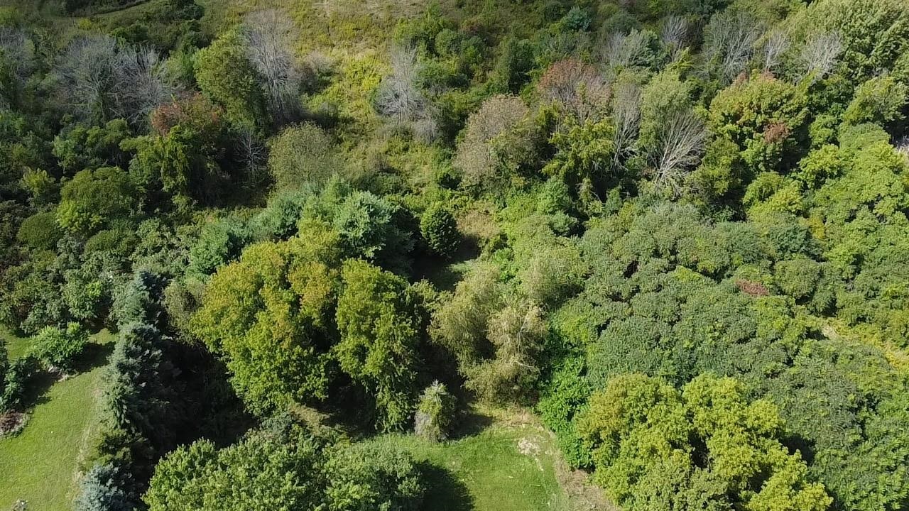 Homes for sale in Alburgh, VT | 849 Boutah Rd, Alburgh, VT 05440 | MLS# 5060058