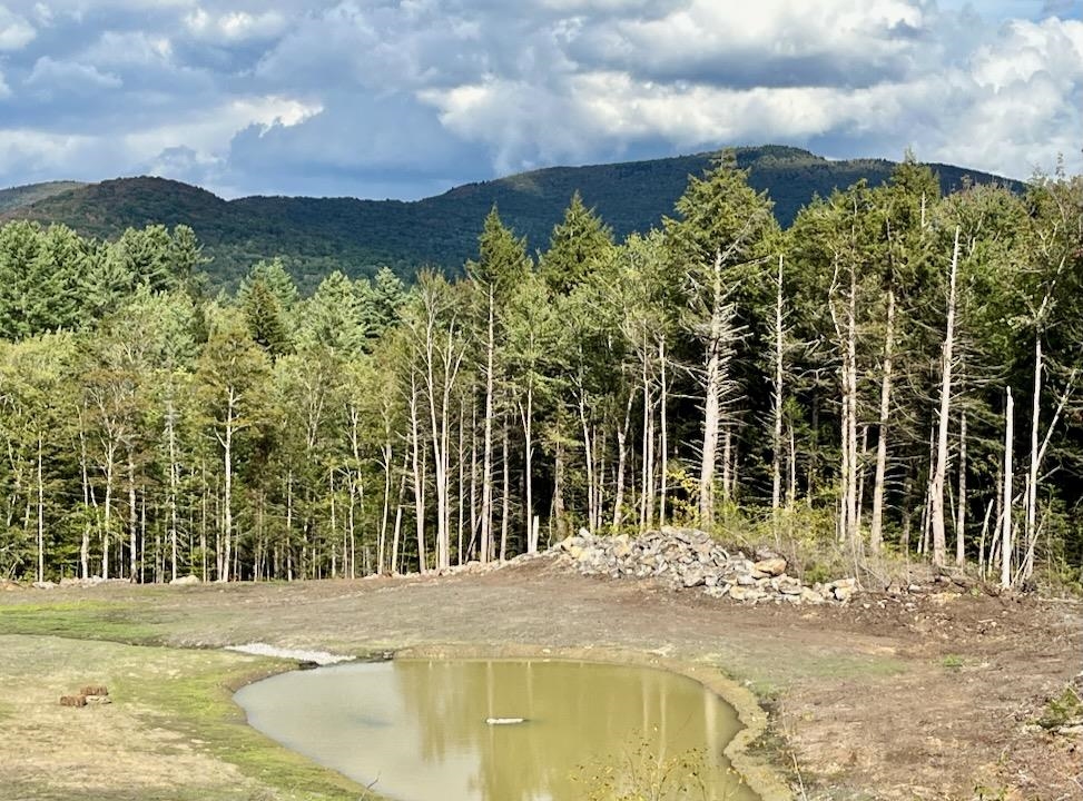 Homes for sale in Weston, VT | 00 Parker Ln, Weston, VT 05161 | MLS# 5060075