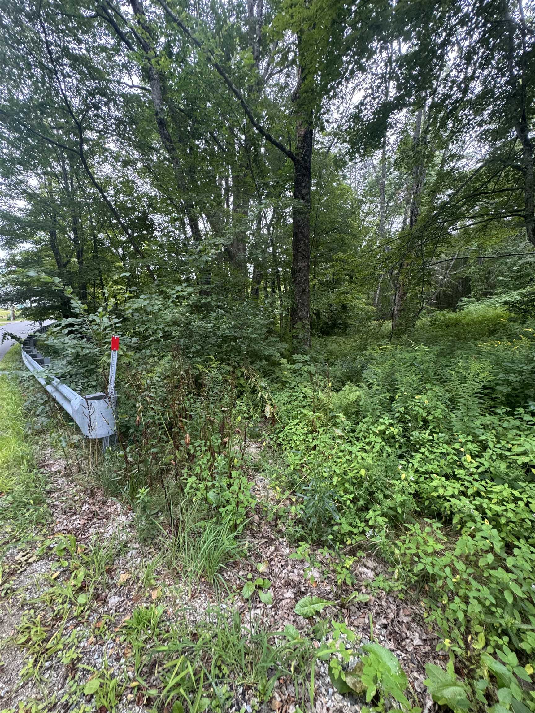 MLS #5060146 image #12