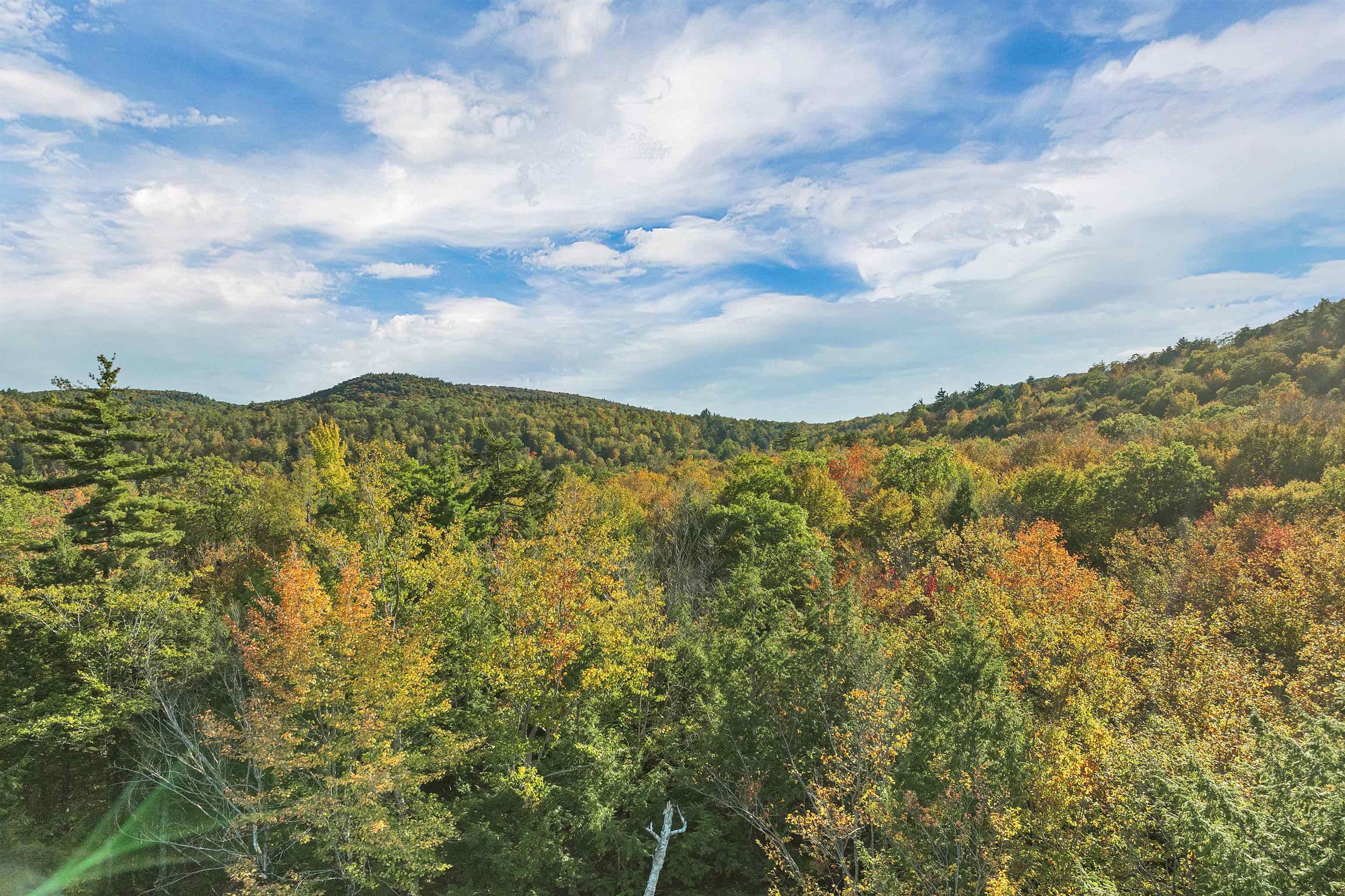 MLS #5060146 image #6