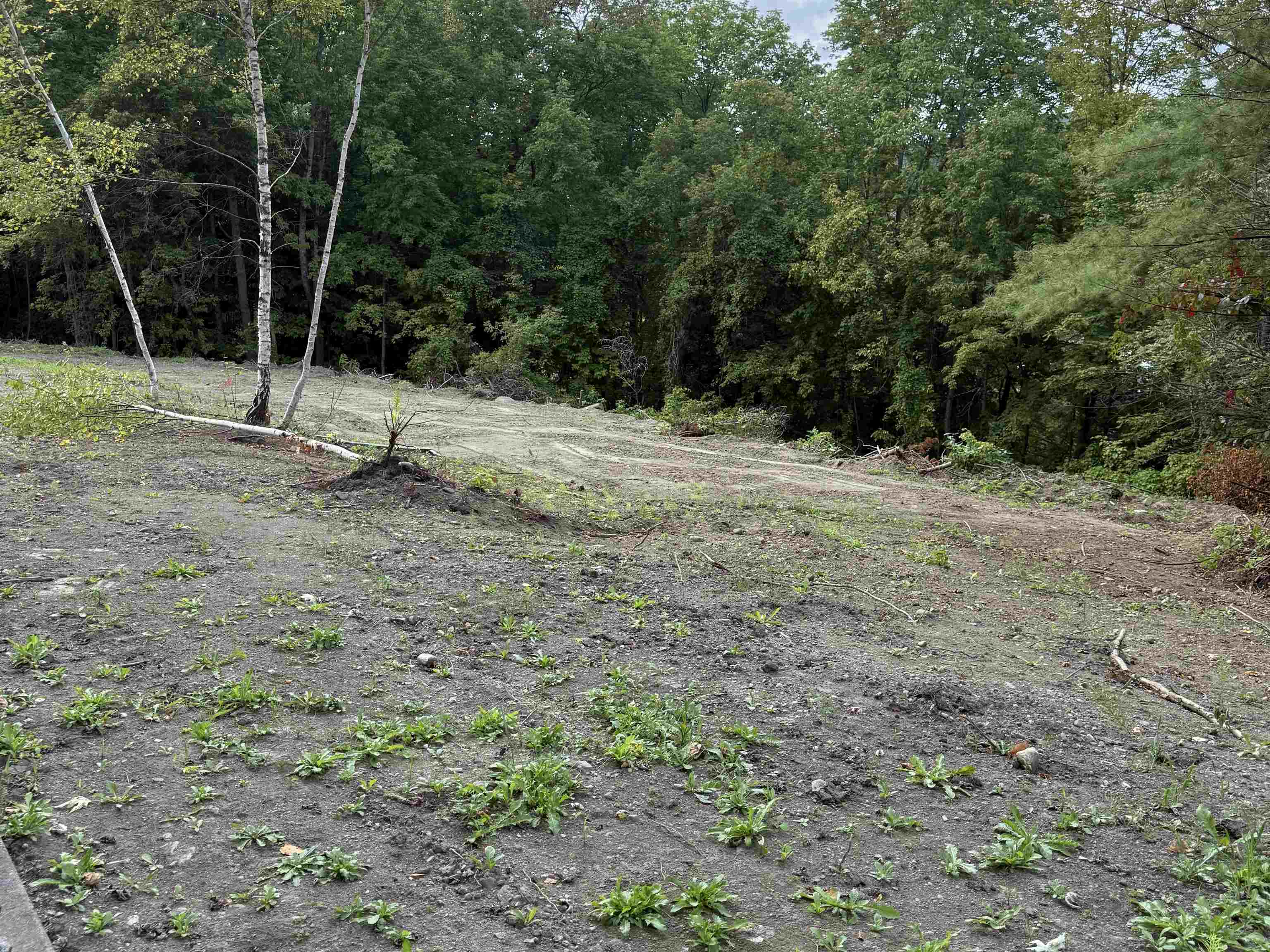 Homes for sale in St. Johnsbury, VT | 00 Lafayette St, St. Johnsbury, VT 05819 | MLS# 5060231