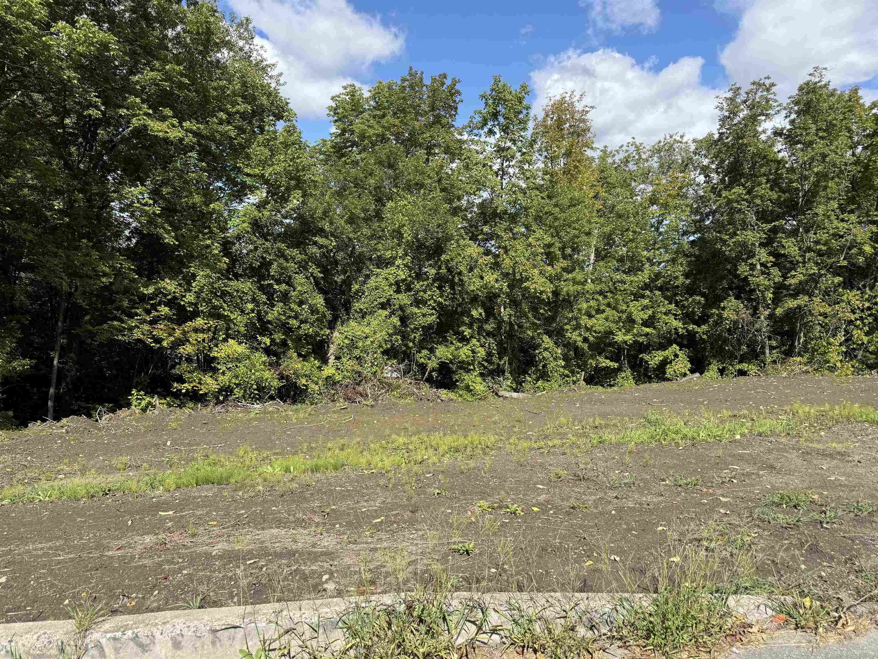 Homes for sale in St. Johnsbury, VT | 0 Lafayette St, St. Johnsbury, VT 05819 | MLS# 5060234