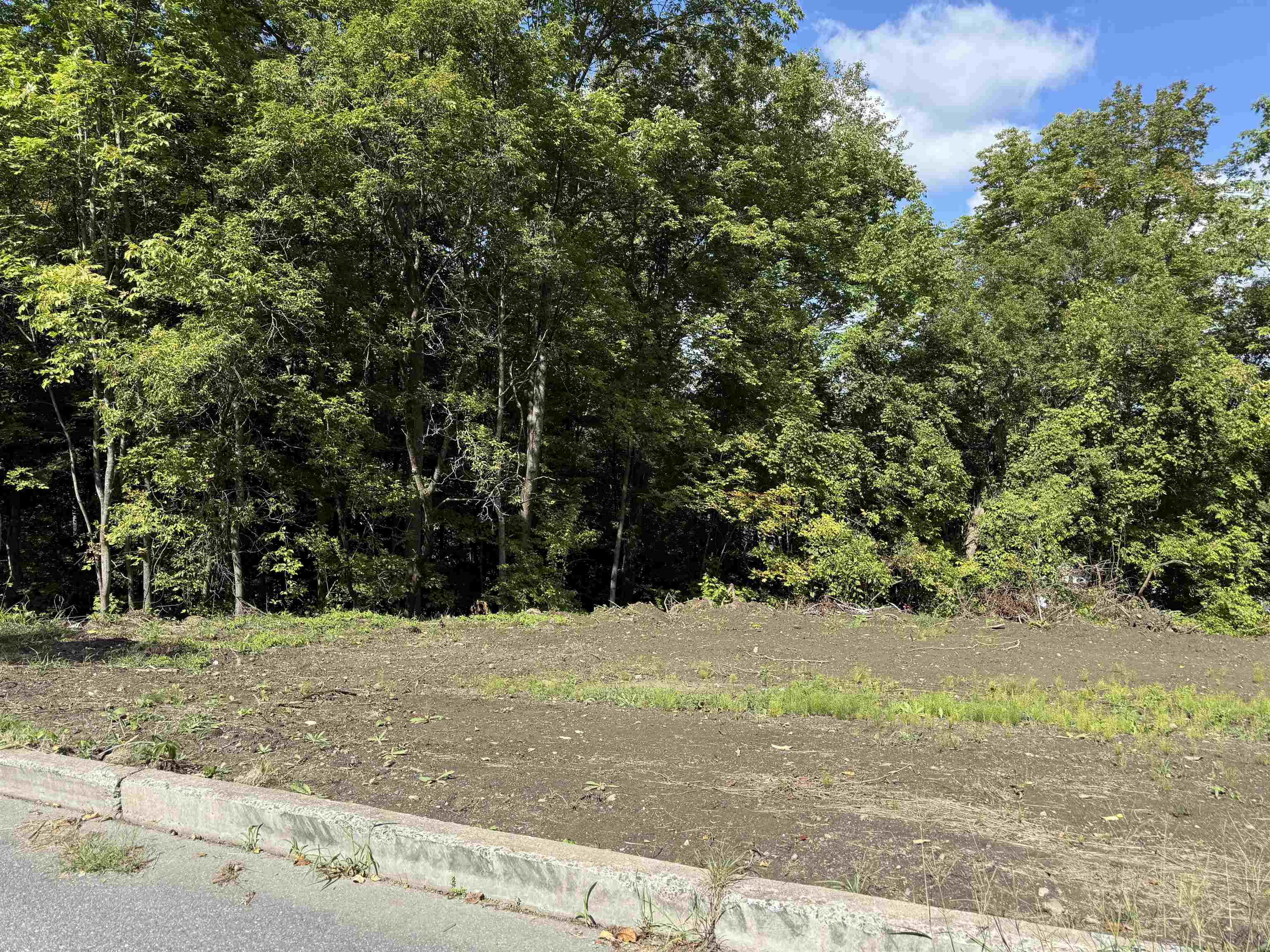 Homes for sale in St. Johnsbury, VT | 0 Lafayette St, St. Johnsbury, VT 05819 | MLS# 5060234