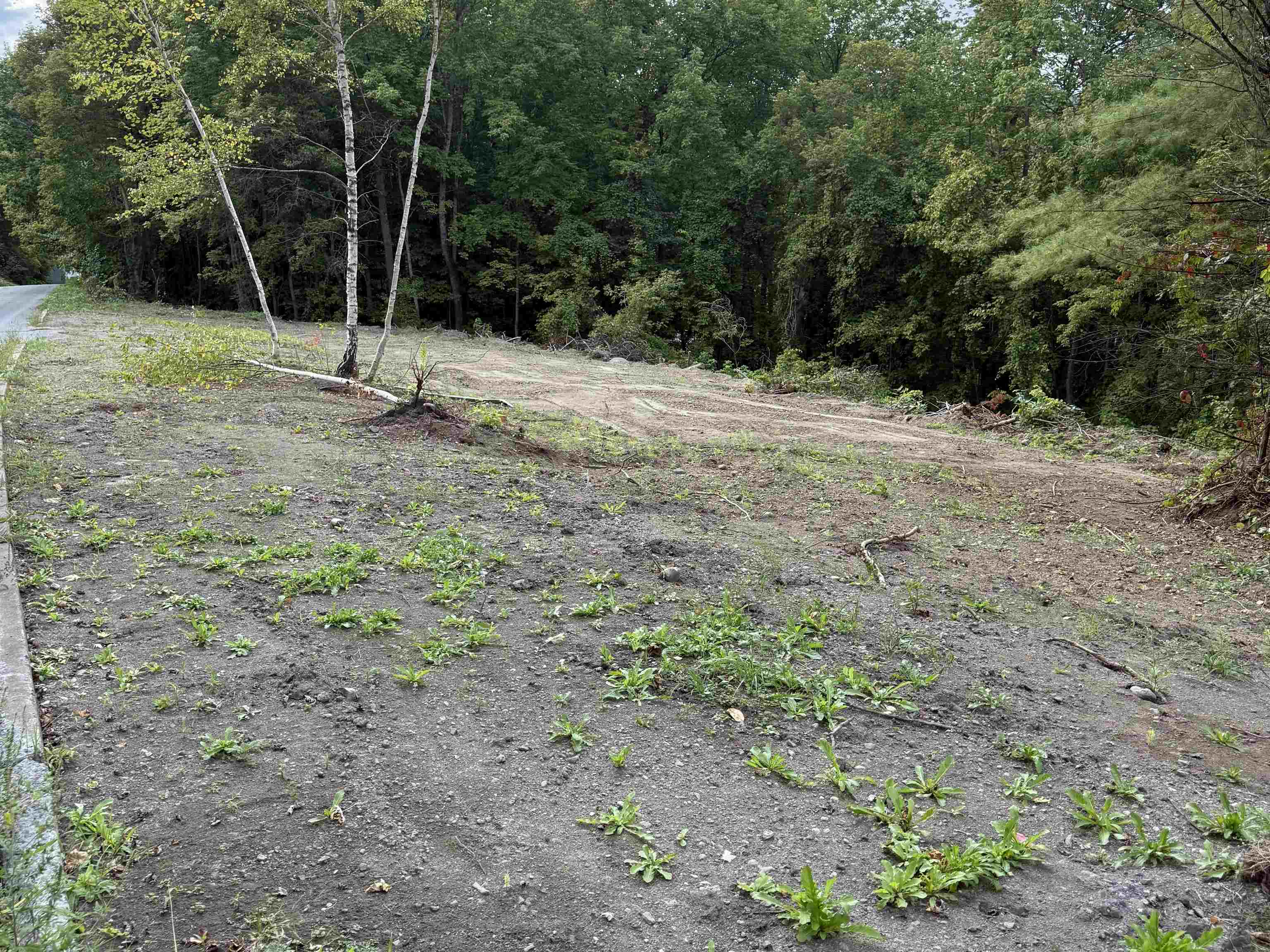 Homes for sale in St. Johnsbury, VT | 0 Lafayette St, St. Johnsbury, VT 05819 | MLS# 5060234