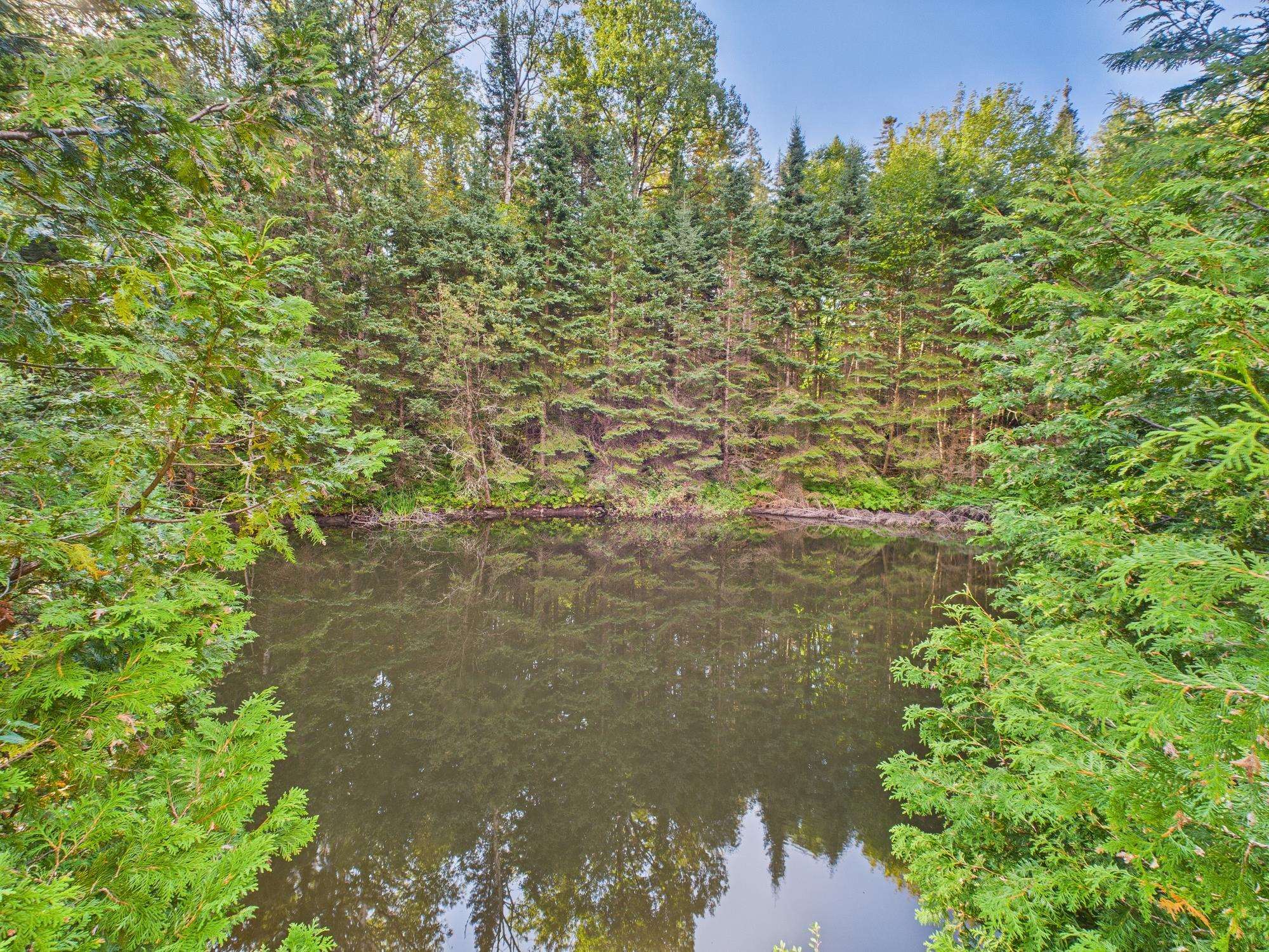 MLS #5060250 image #6