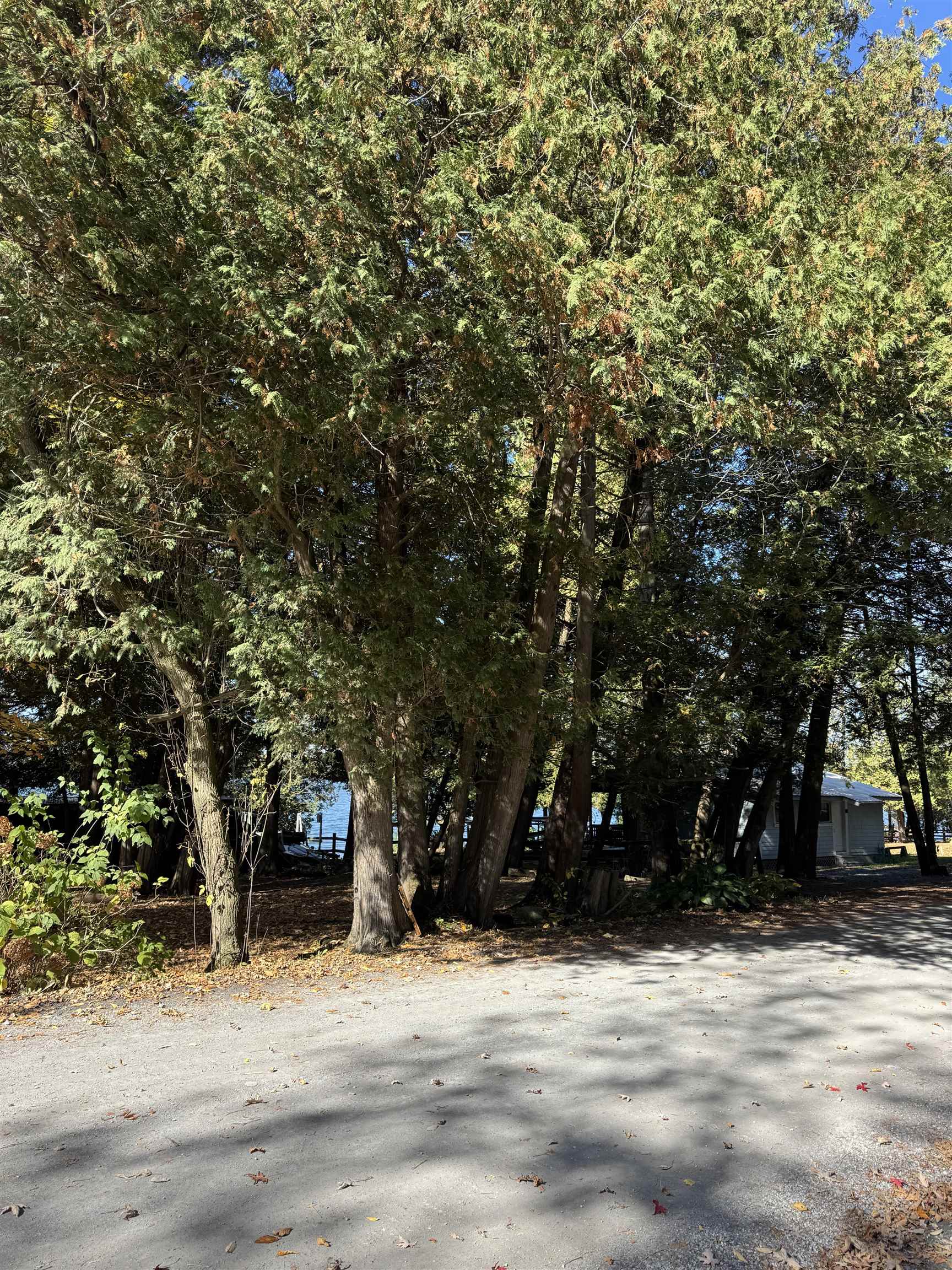 MLS #5060520 image #21